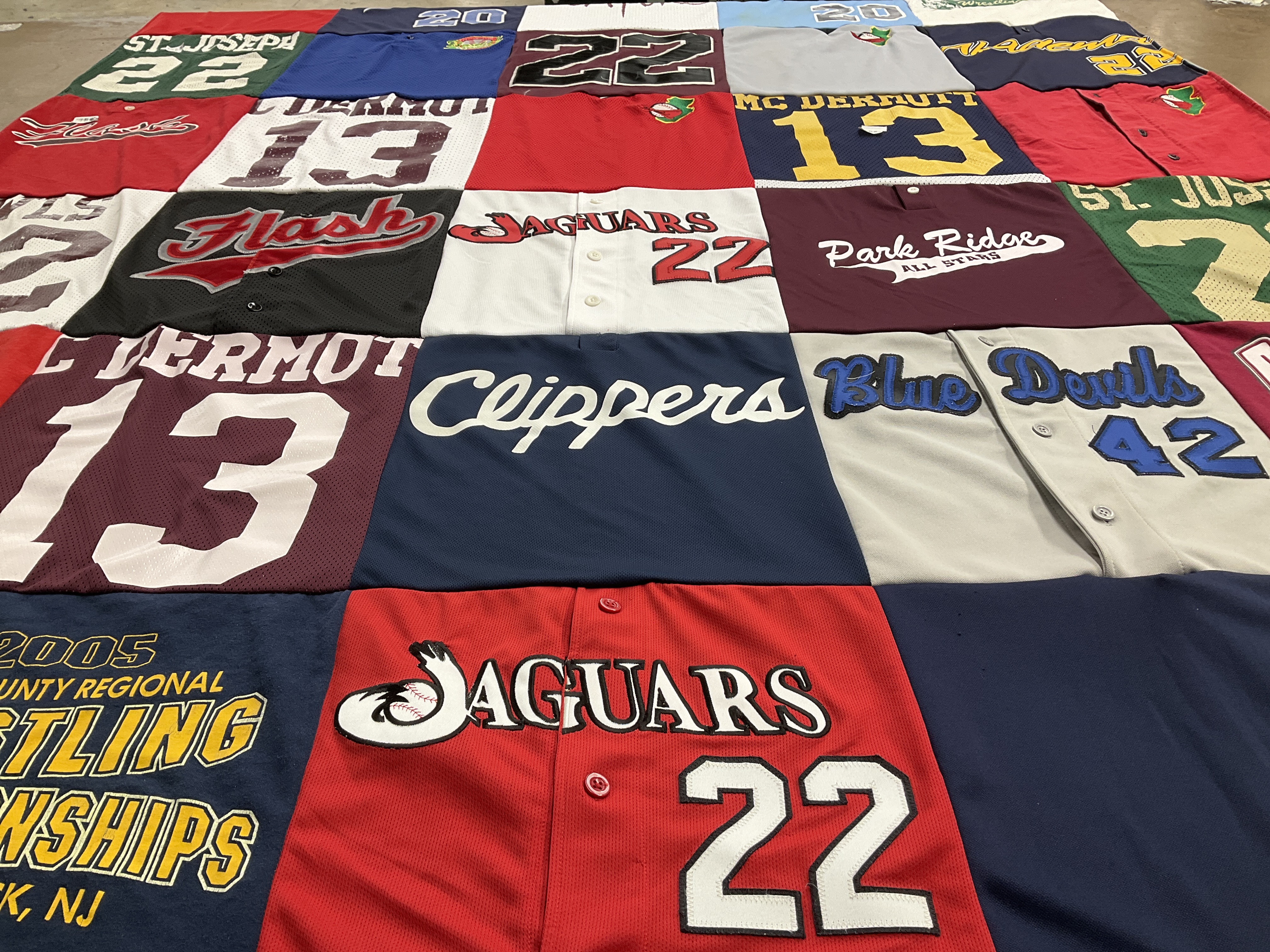 T-shirt quilt featuring jaguars, blue devils by Christine from NJ
