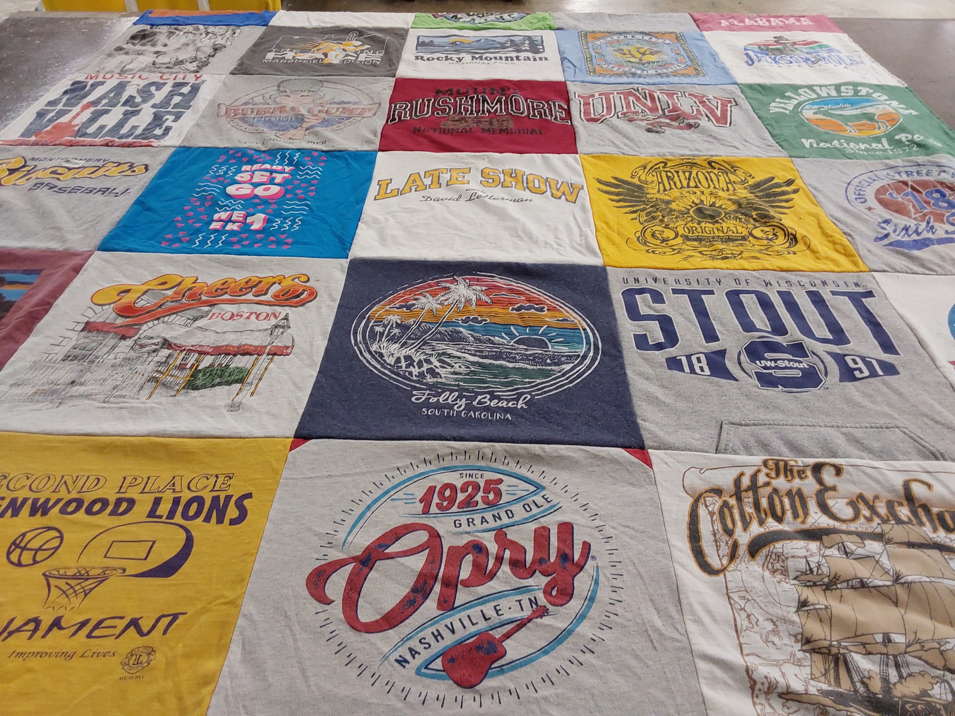 T-shirt quilt featuring lions by Tamera from WI