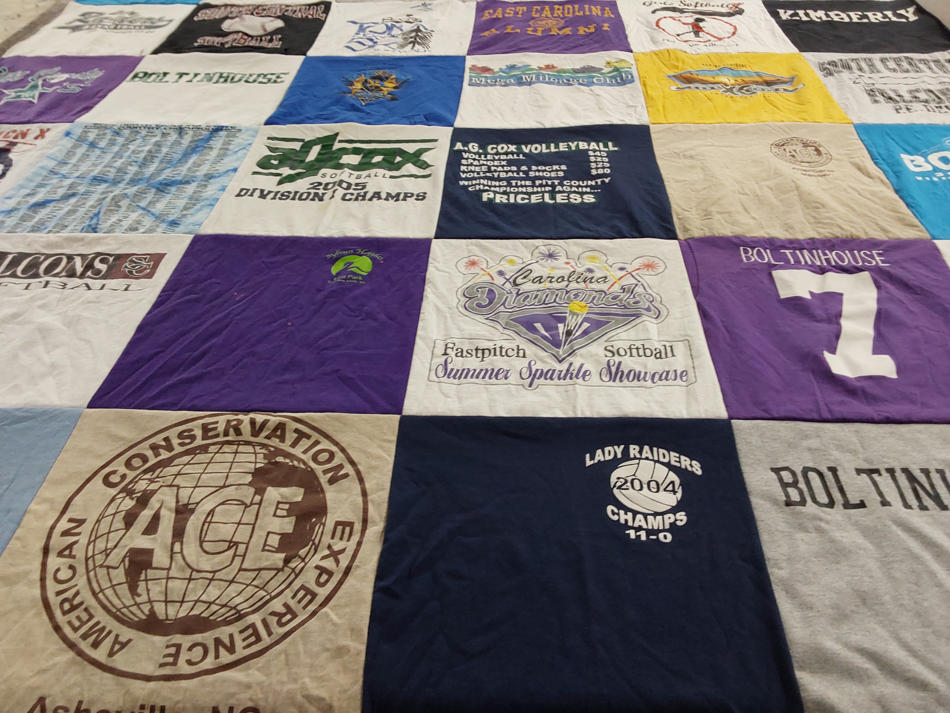 T-shirt quilt with softball, volleyball themes by Renee from NC