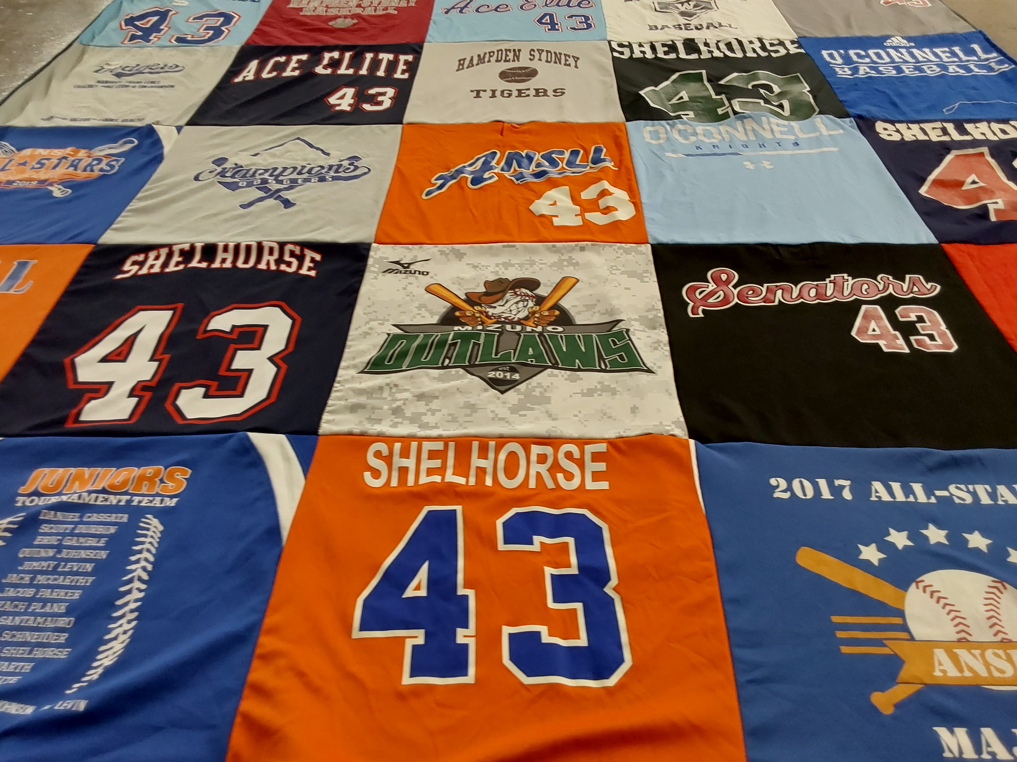 T-shirt quilt featuring tigers, outlaws by Lisa from VA