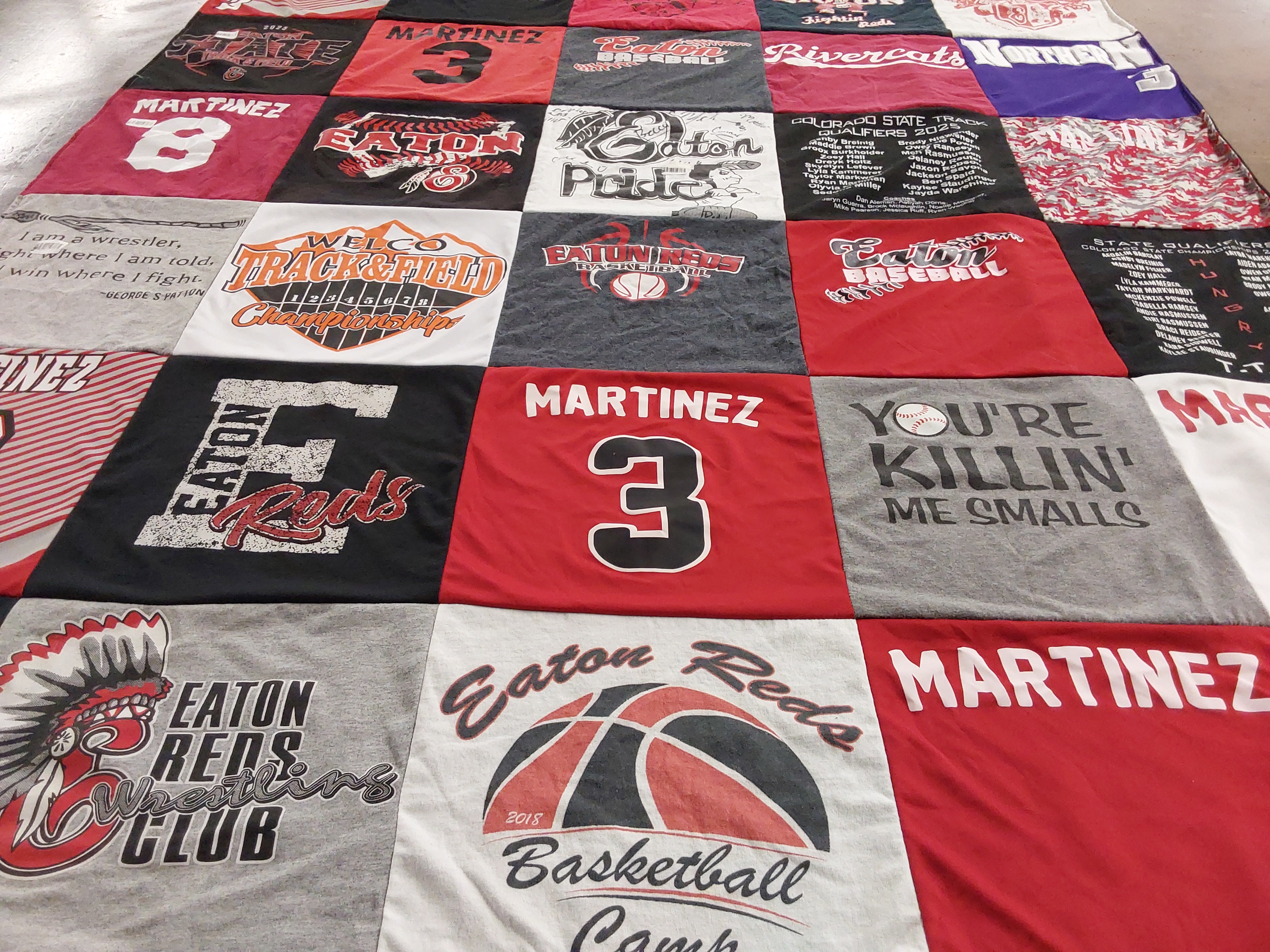 T-shirt quilt featuring eaton reds basketball by gail from CO