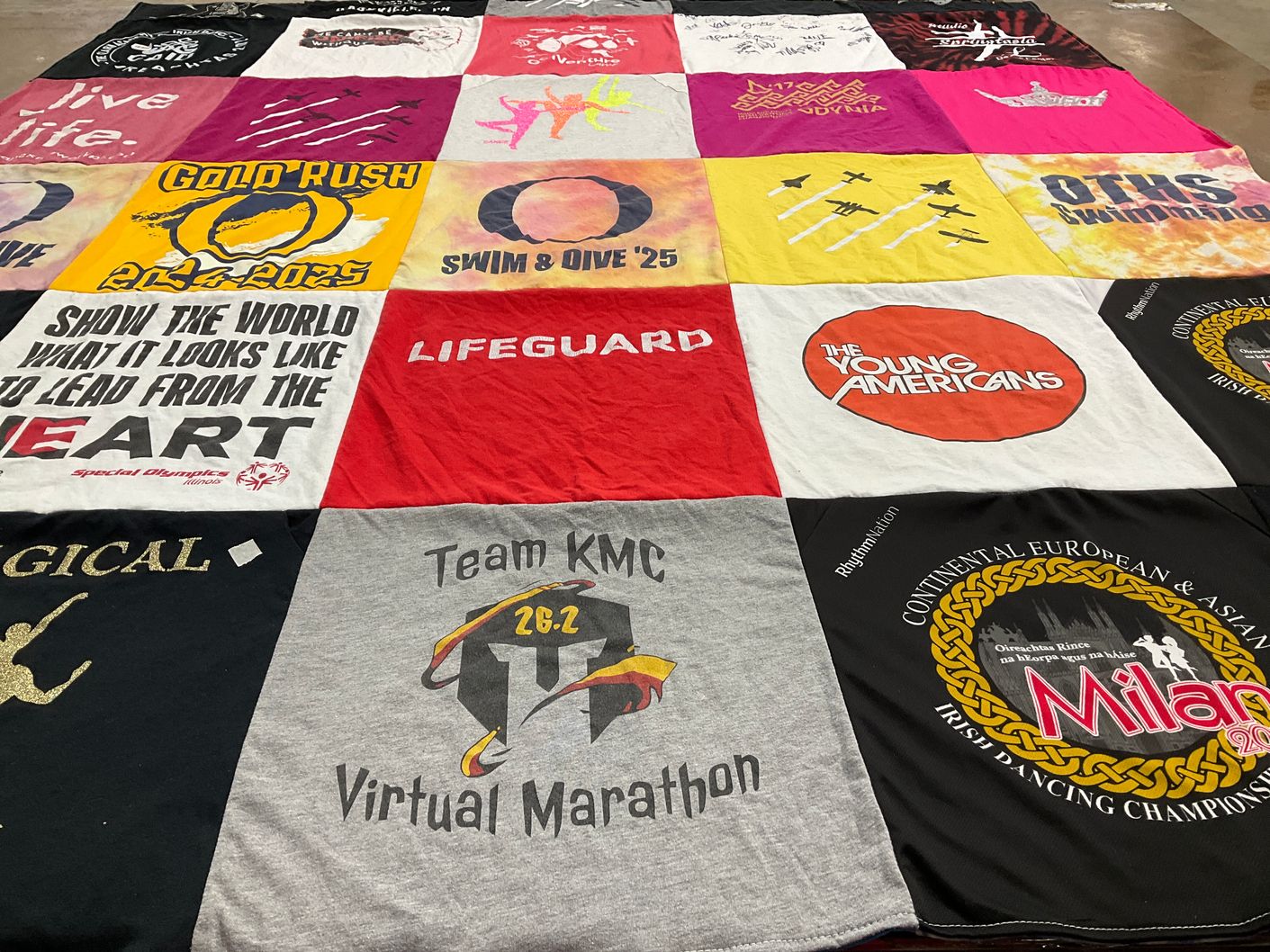 T-shirt quilt with swimming, diving themes by Brigette from IL