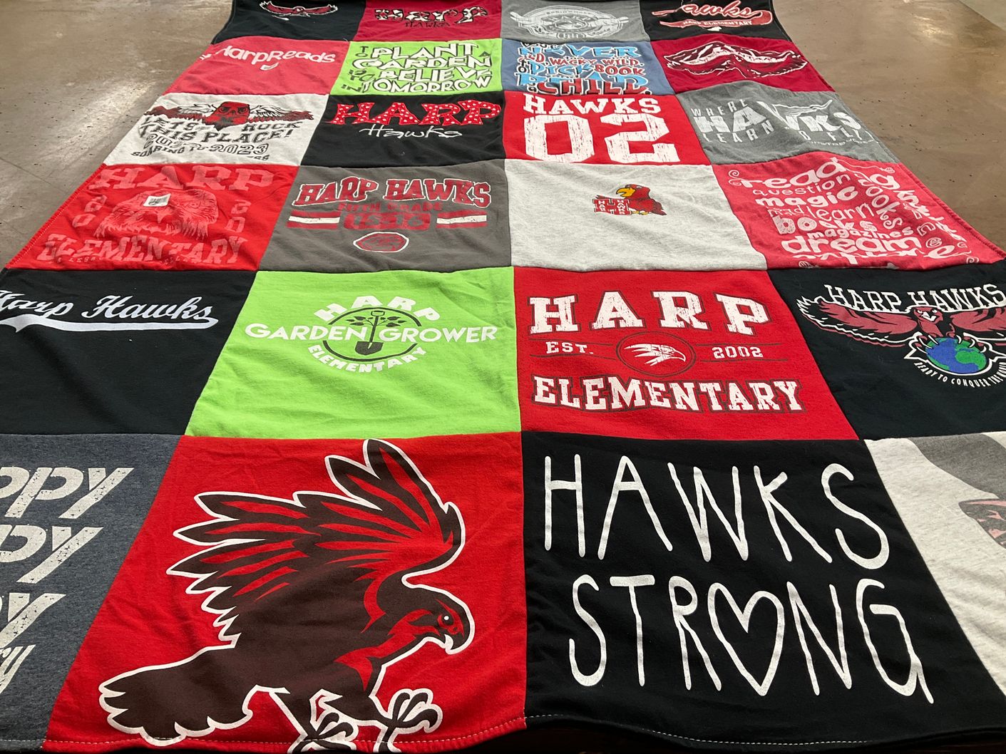 T-shirt quilt featuring harp hawks by Allison from AR