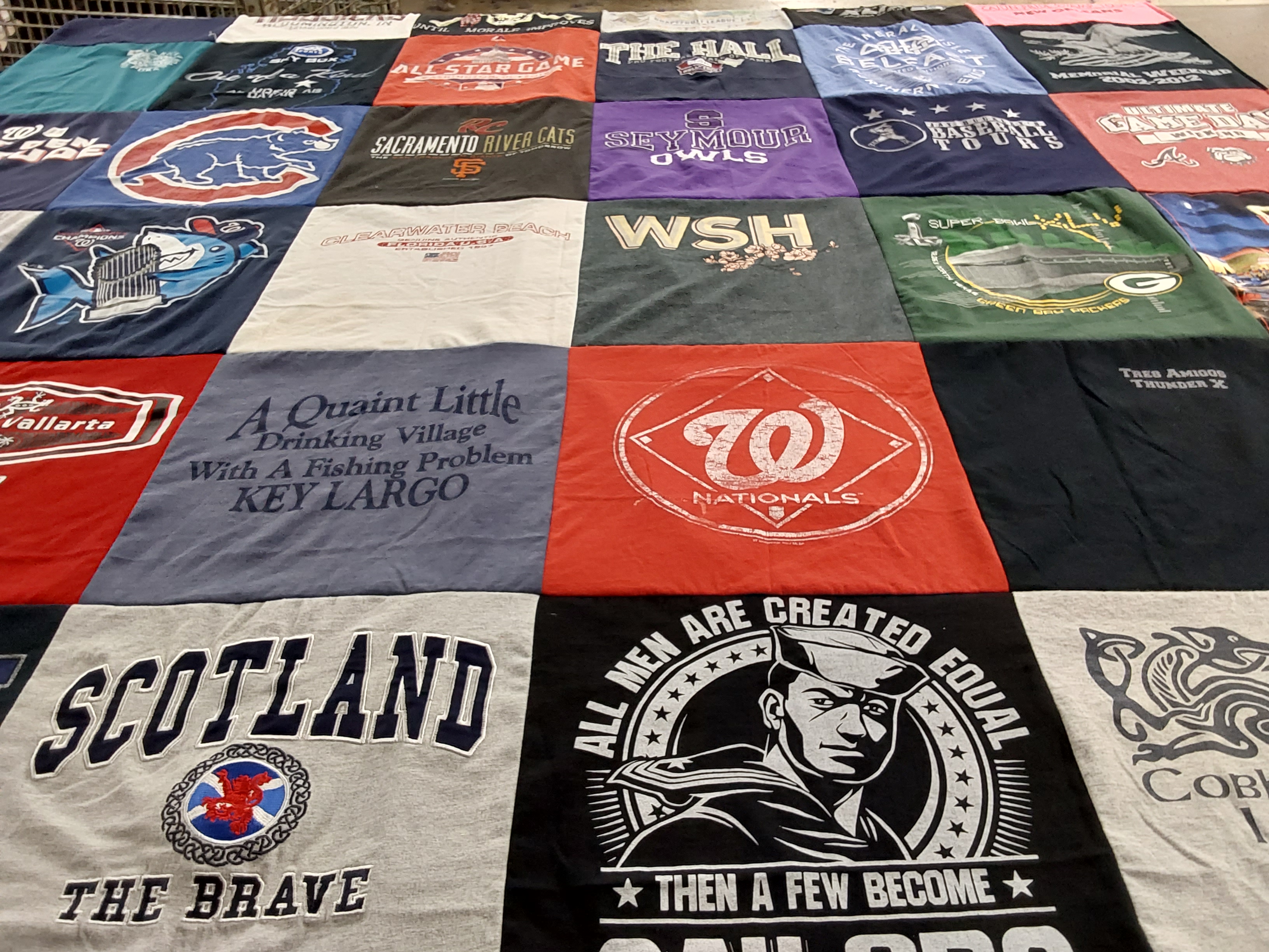 T-shirt quilt featuring nationals, river cats by Barbara from VA