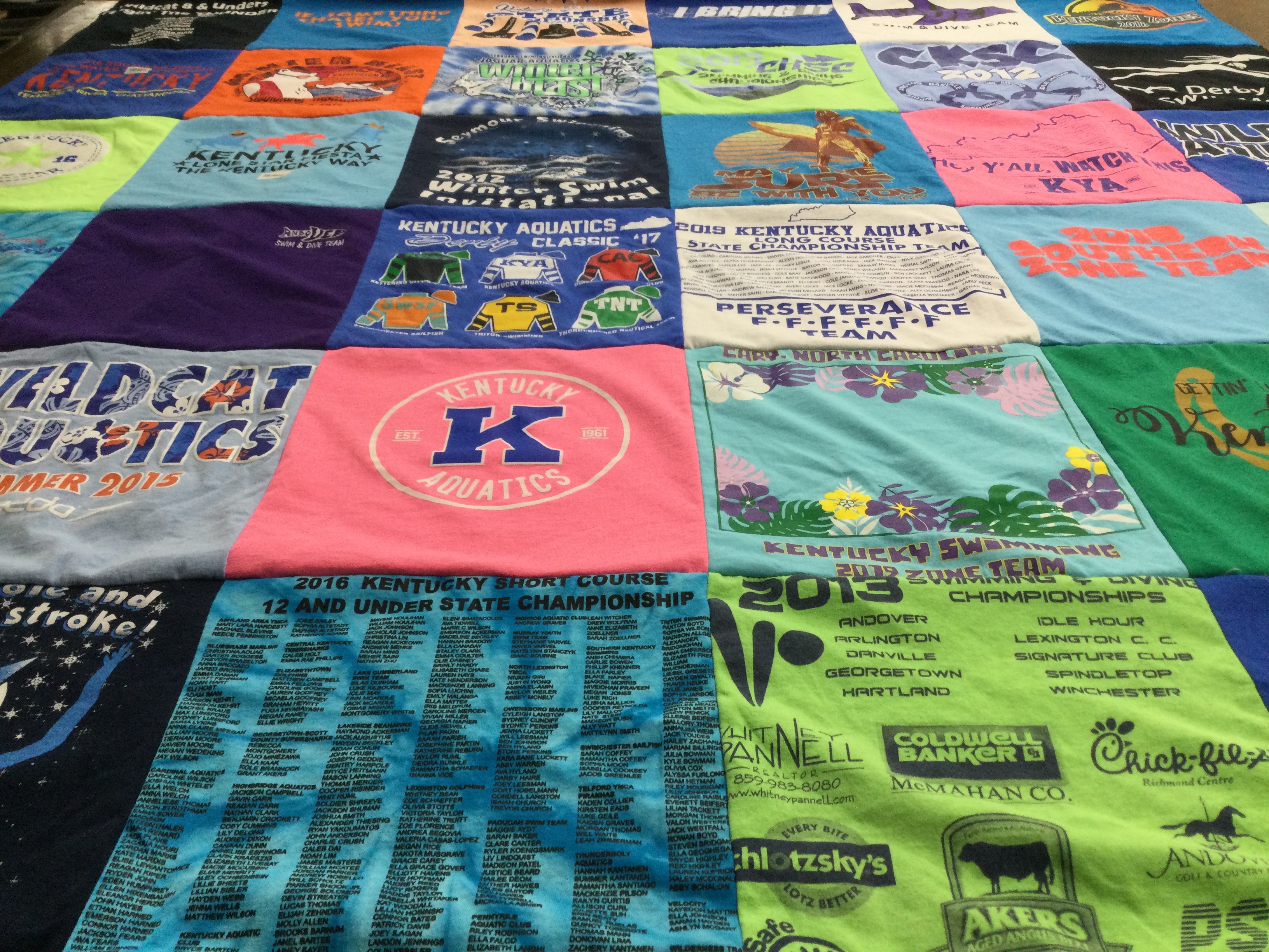 T-shirt quilt with swimming, aquatics themes by Elouise from KY