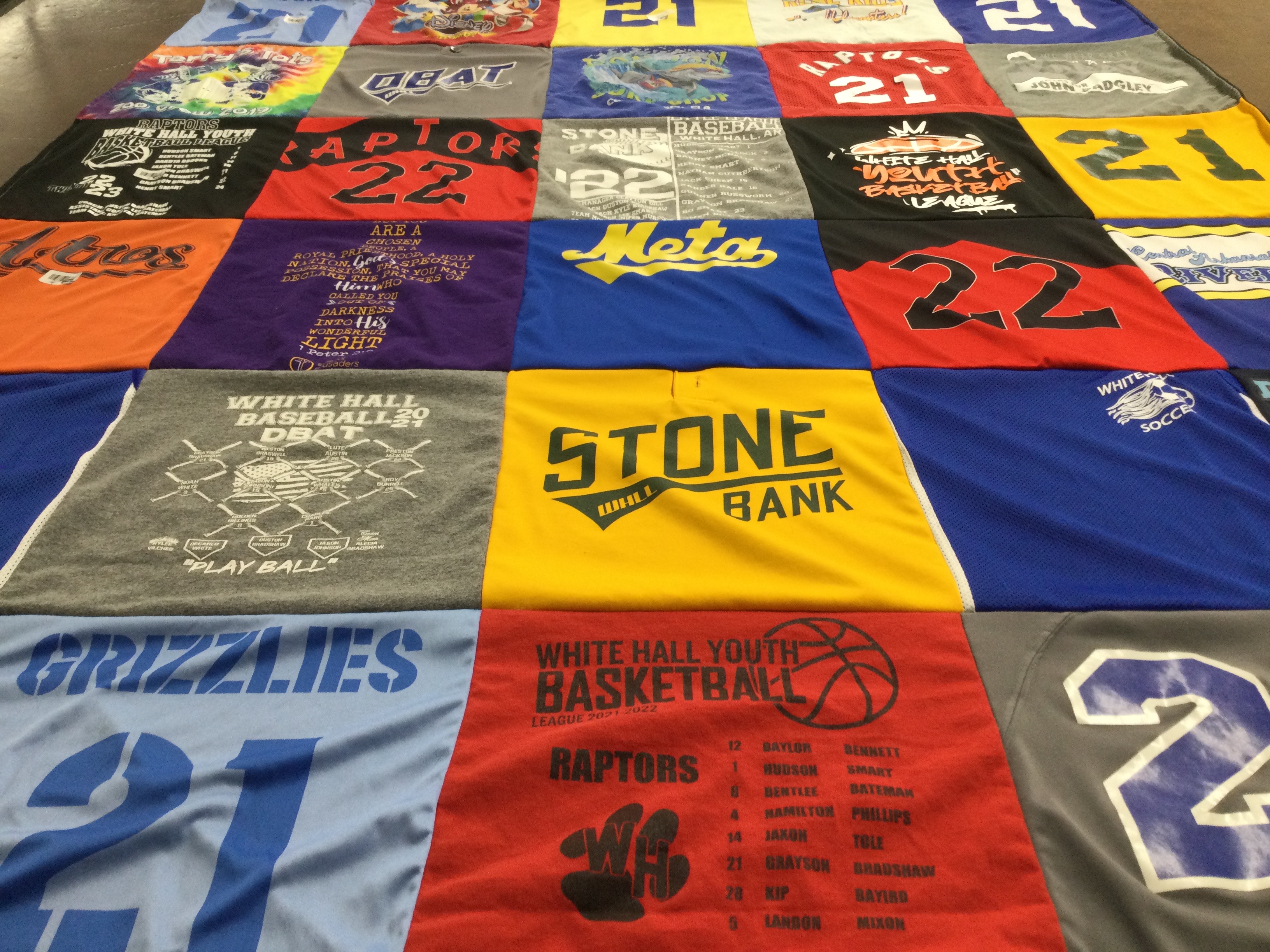 T-shirt quilt featuring raptors, grizzlies by Alecia from AR
