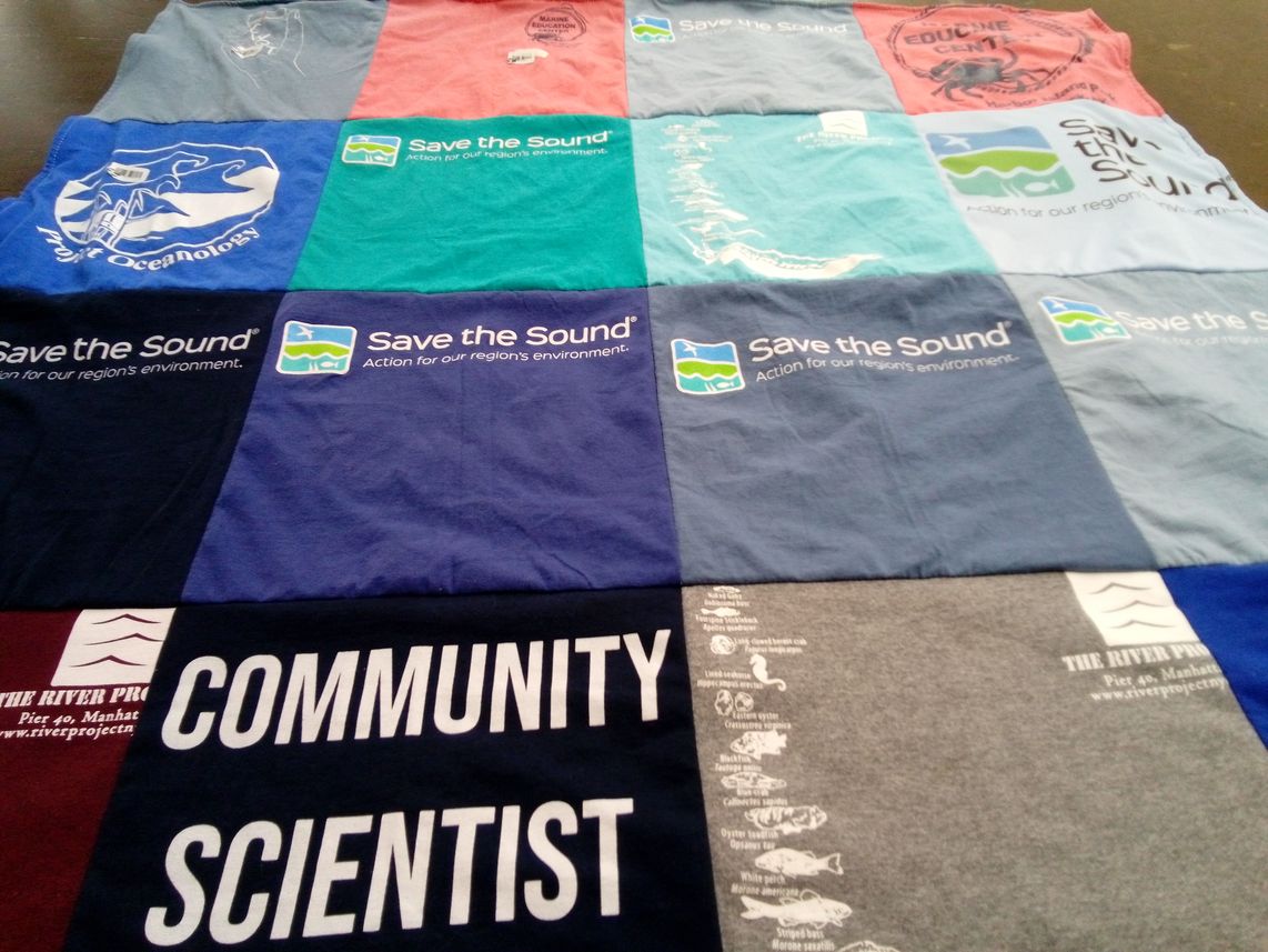 T-shirt quilt with environmental science, community service themes by Ameera from NY