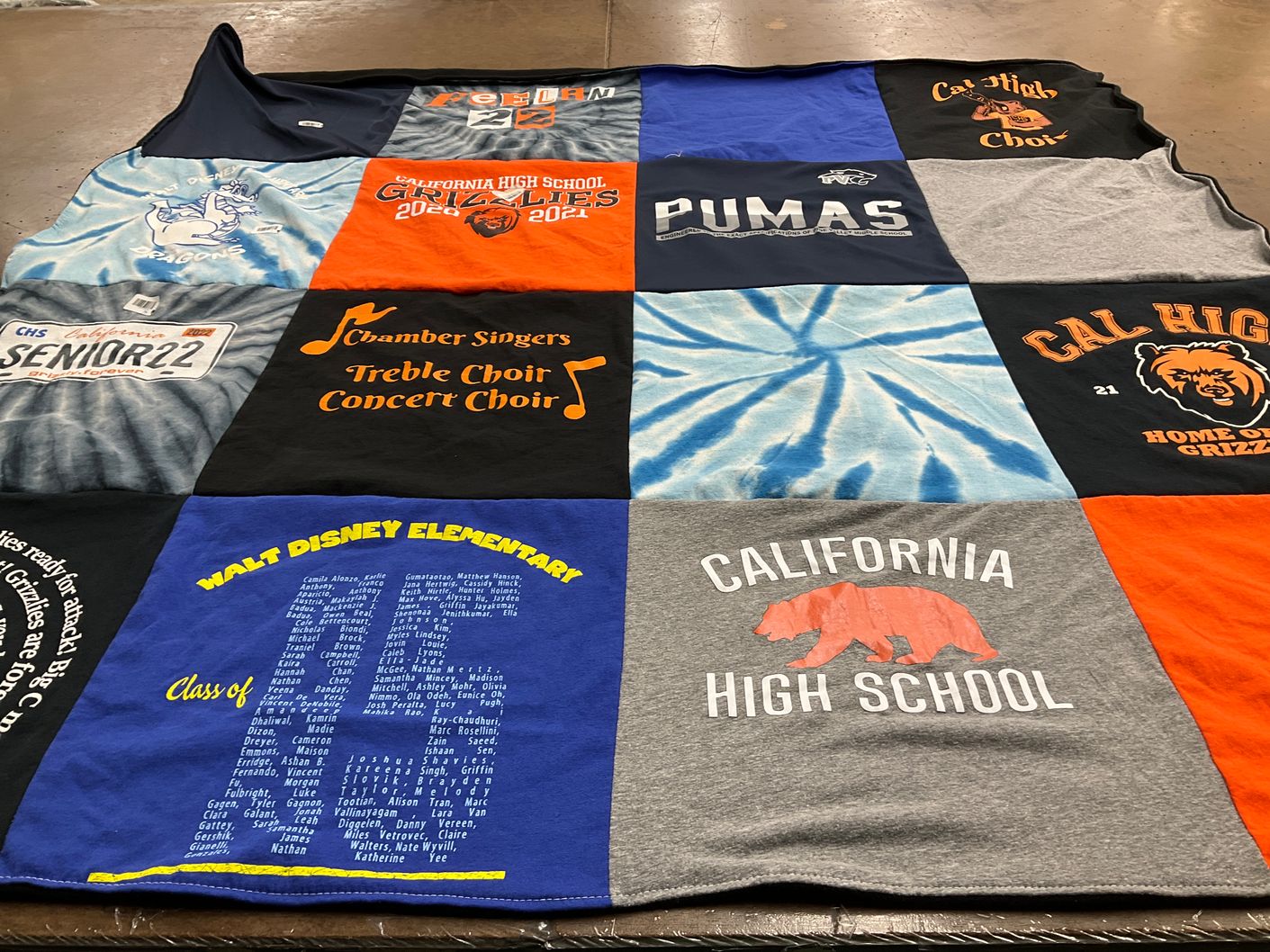 T-shirt quilt featuring grizzlies, pumas by Cynthia from CA