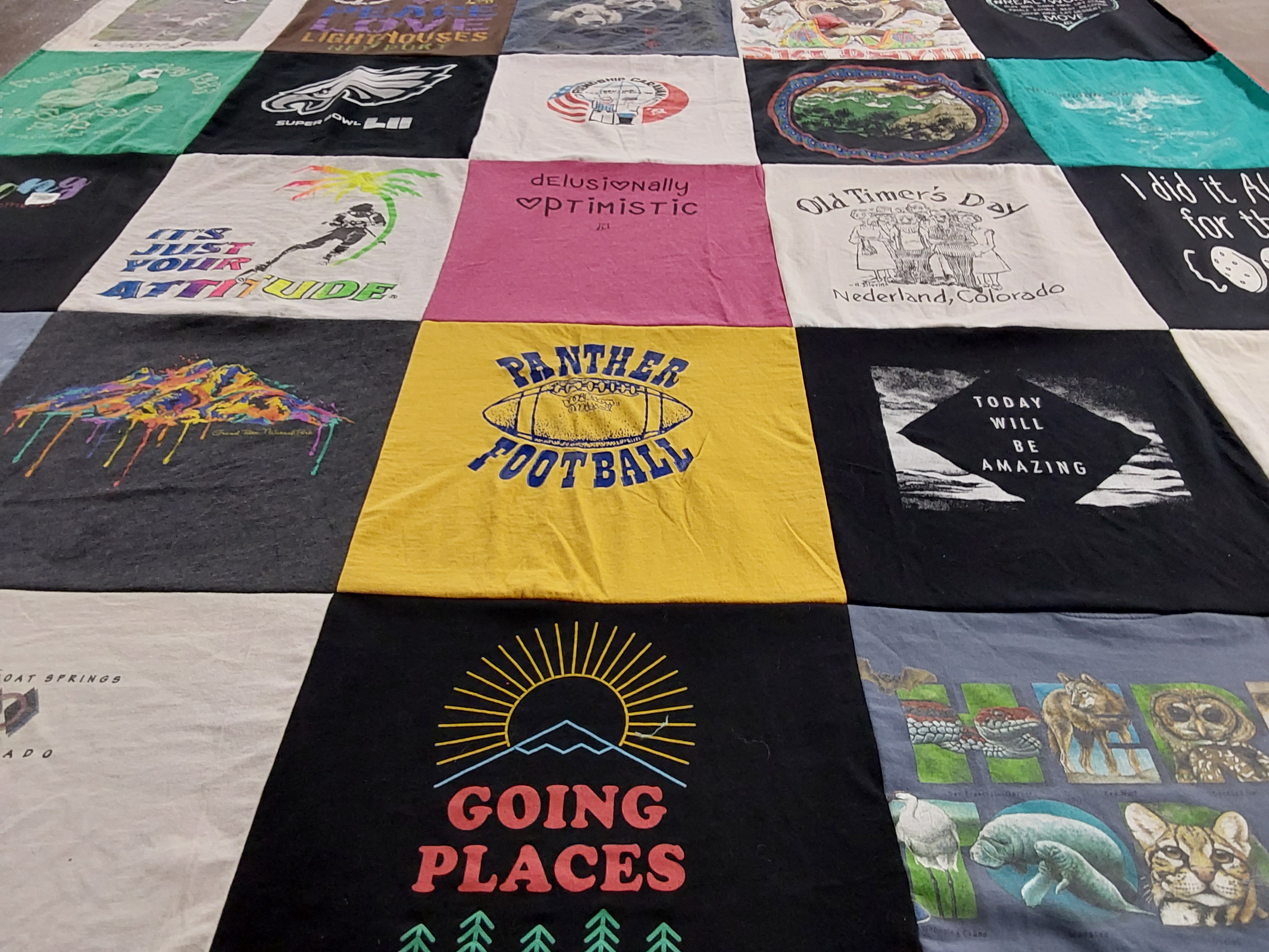 T-shirt quilt featuring panther football by Keri from FL