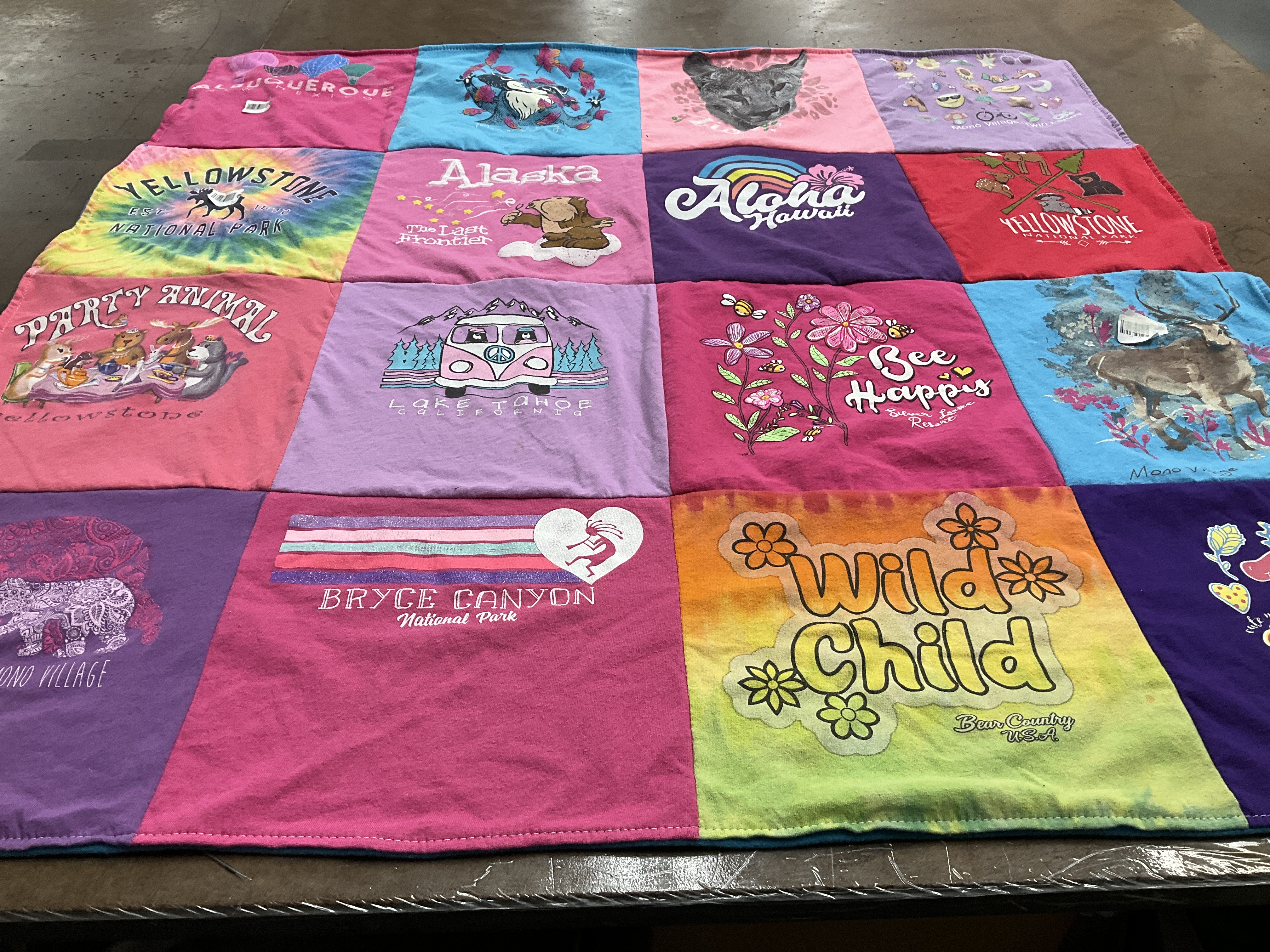 T-shirt quilt with nature, travel themes by Melissa from CA