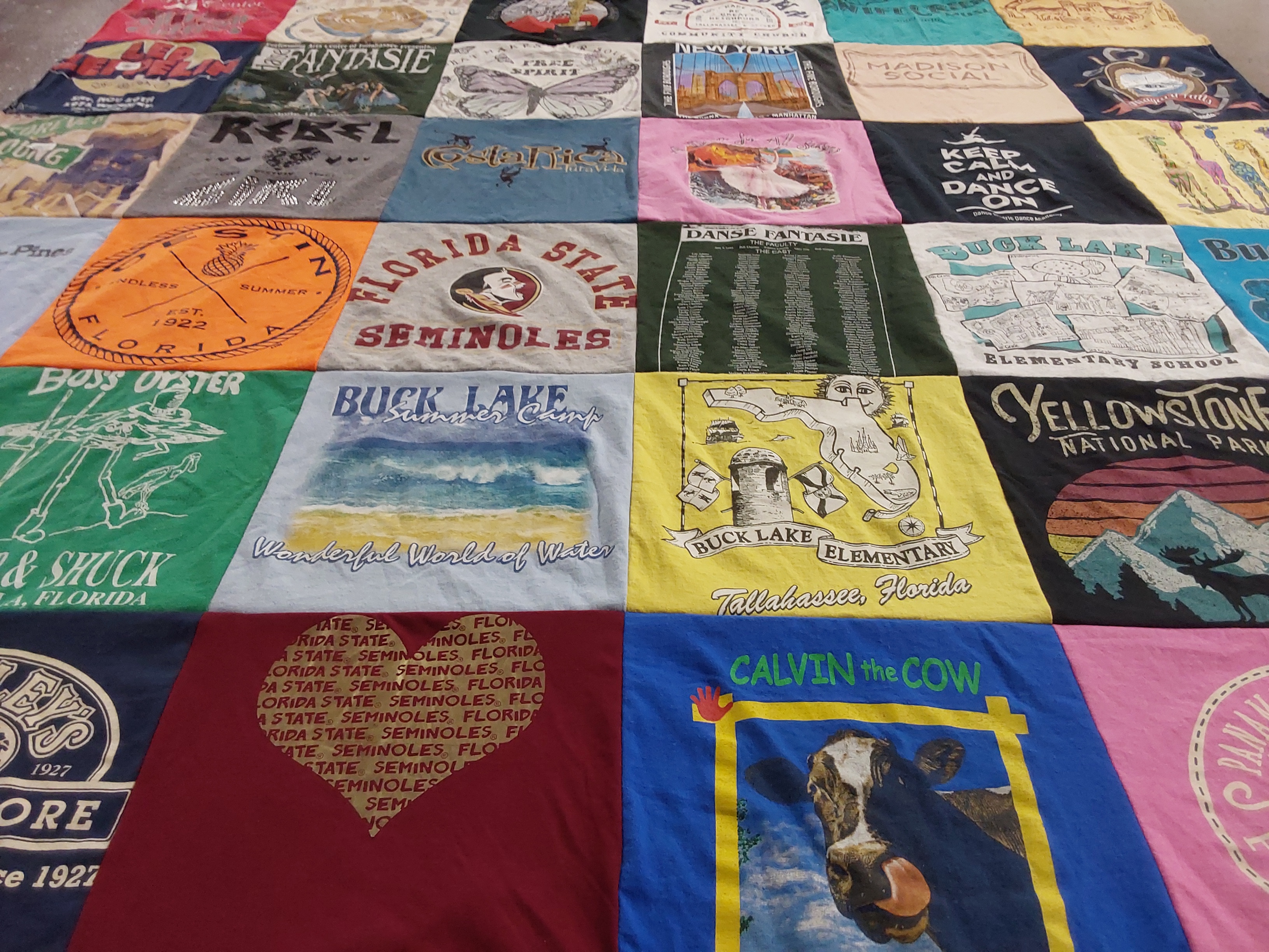 T-shirt quilt featuring florida state seminoles by Elizabeth from FL