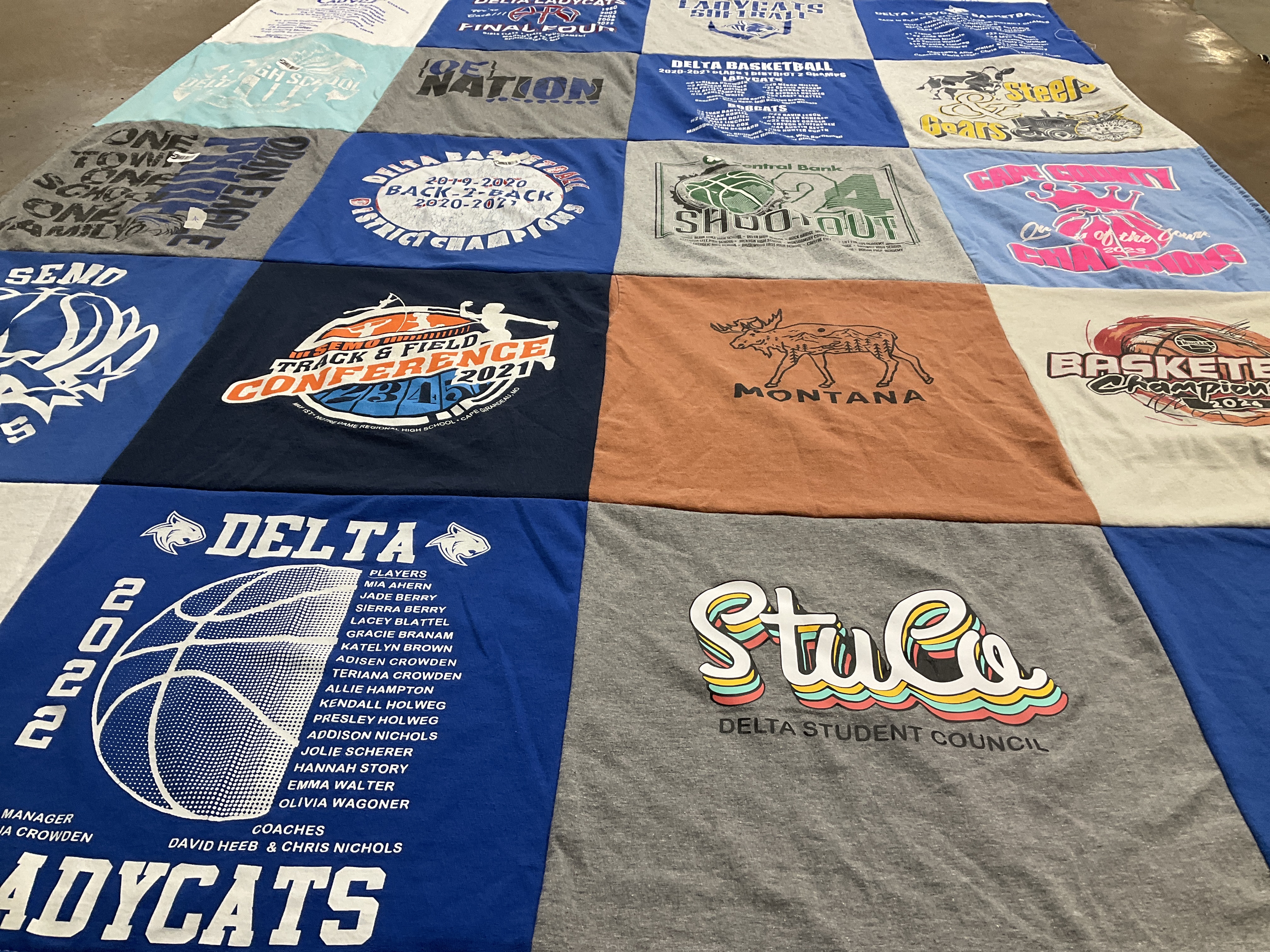 T-shirt quilt featuring delta ladycats by Gina from MO