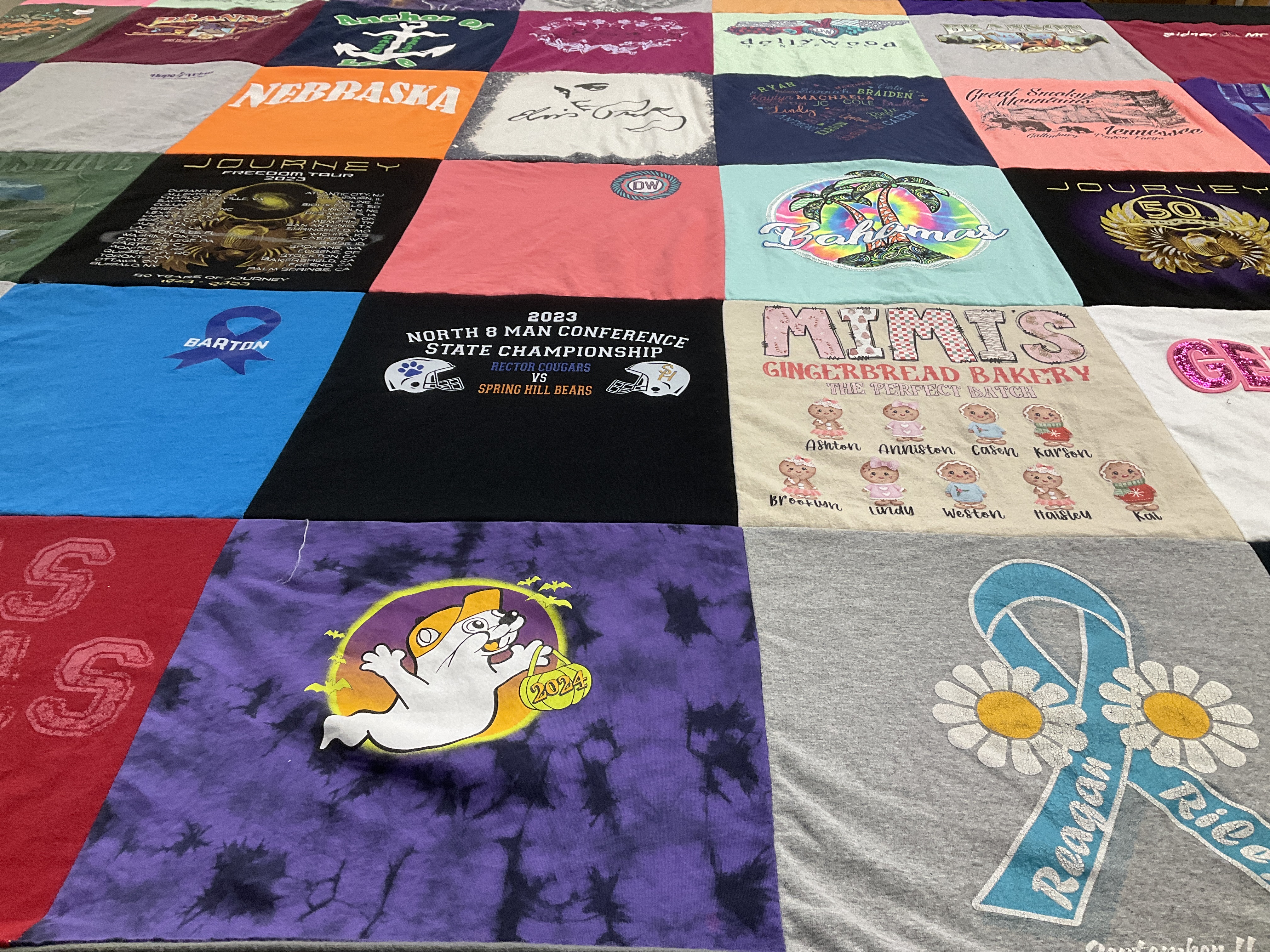 T-shirt quilt featuring hector cougars, spring hill bears by Teressa from LA