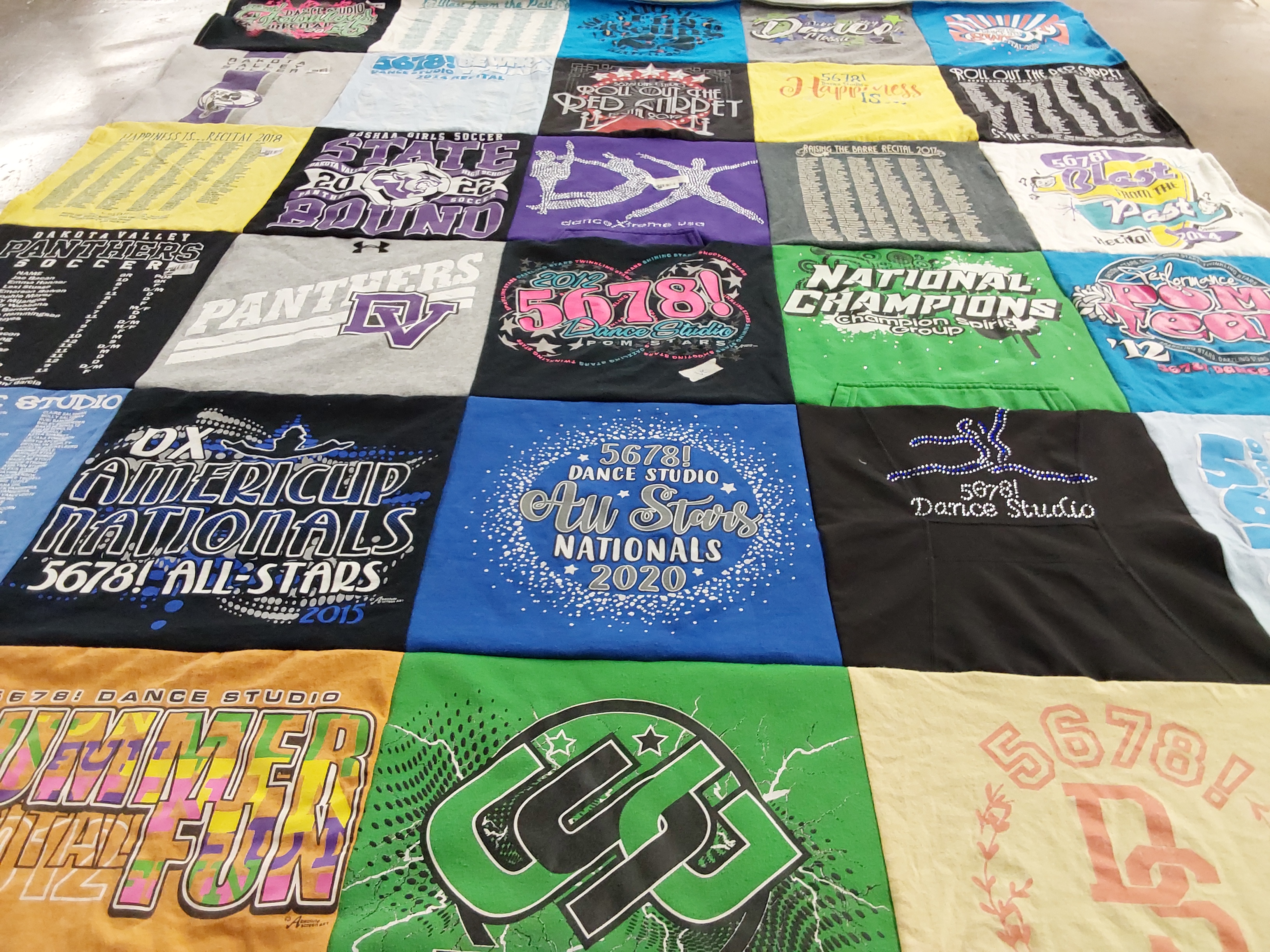 T-shirt quilt featuring panthers by Melissa from SD