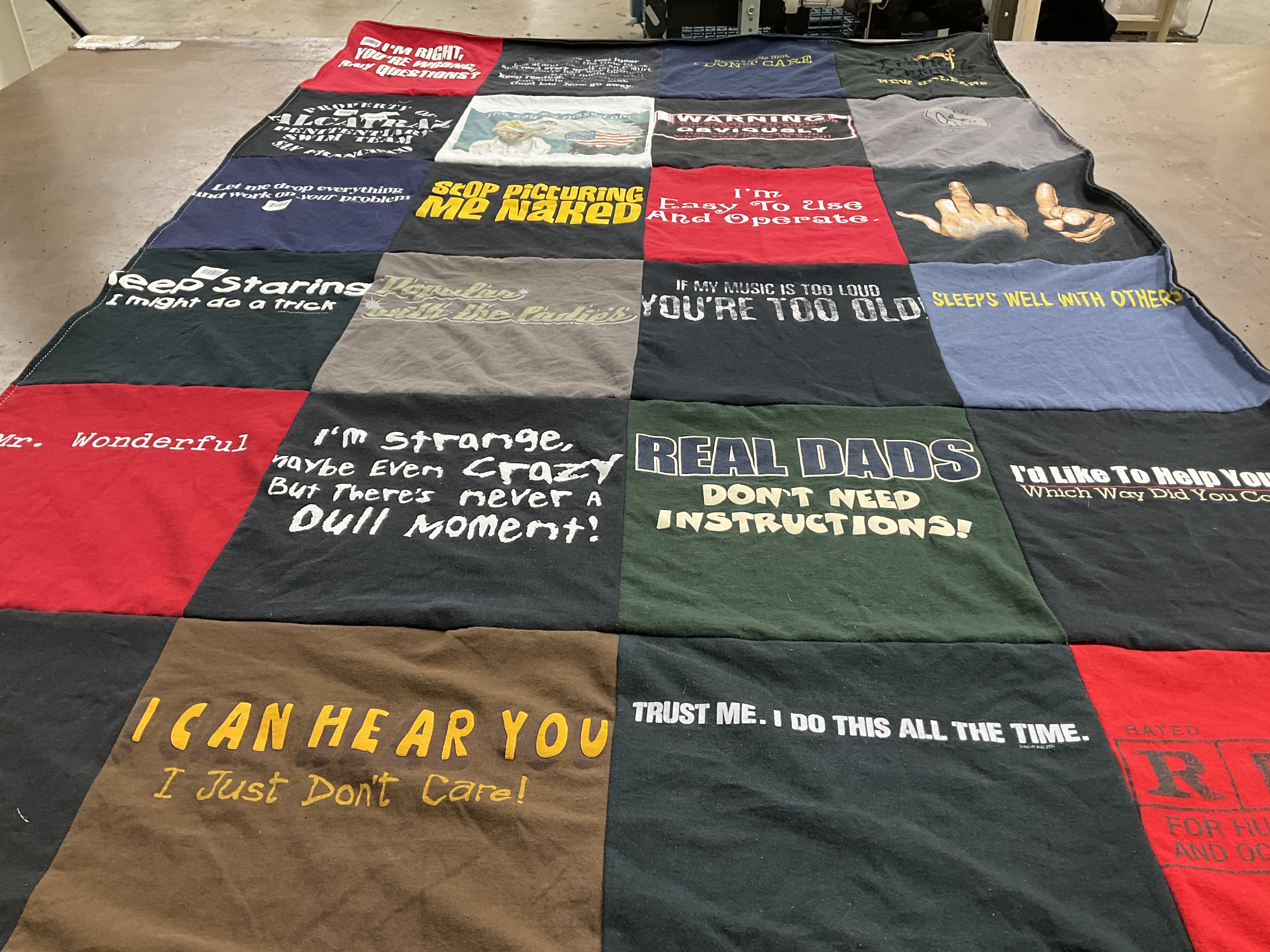 T-shirt quilt with humor, parenting themes by Ellen from WI