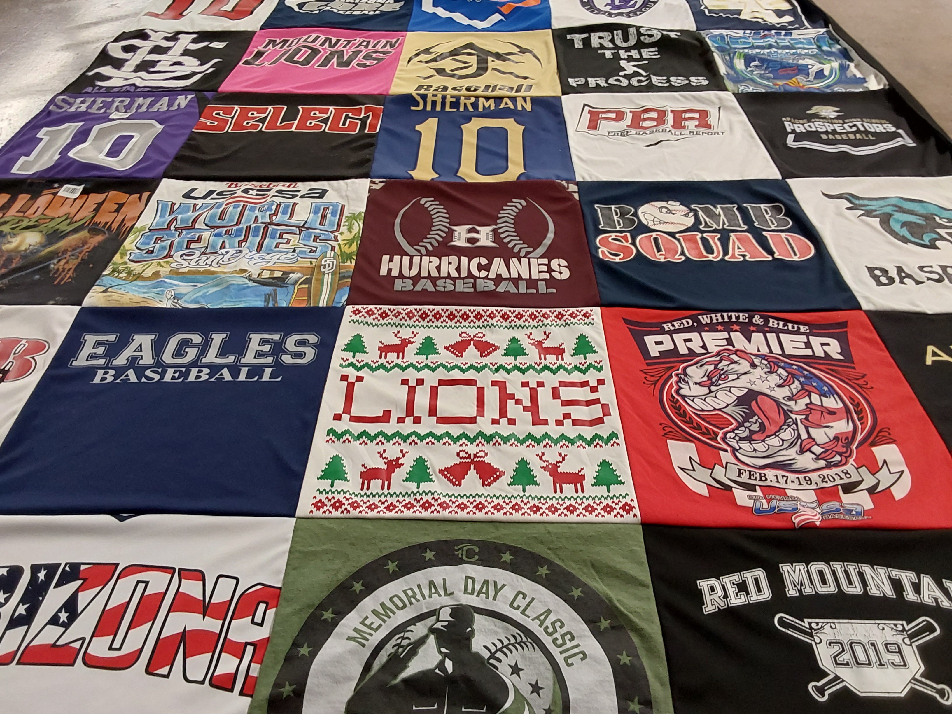 T-shirt quilt featuring eagles baseball, hurricanes baseball by Danielle from AZ