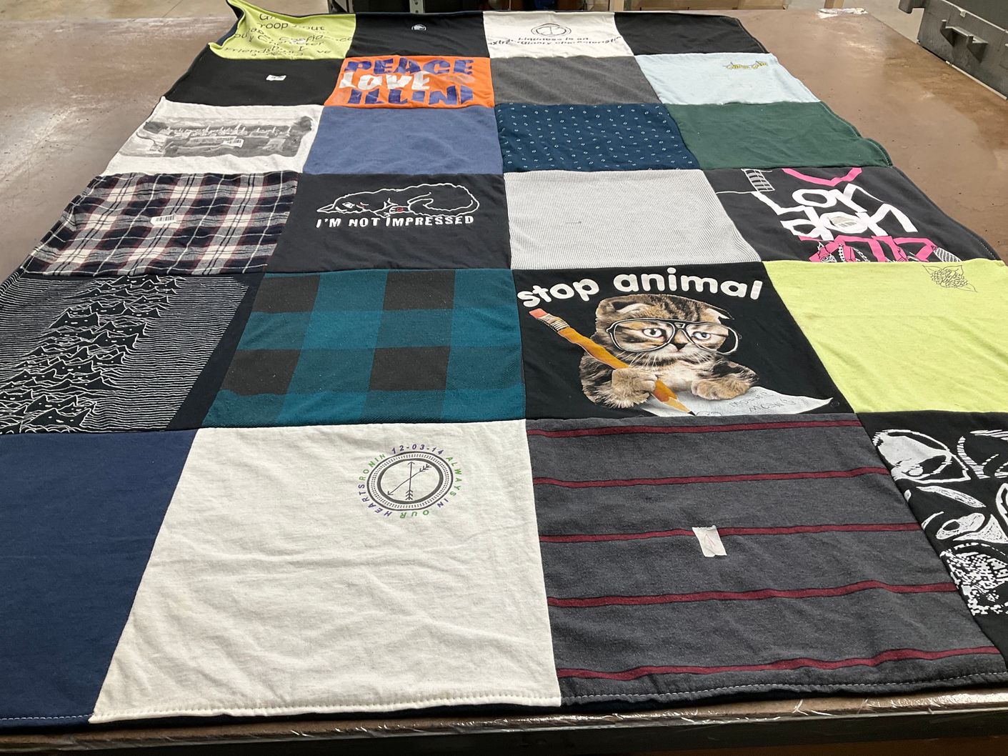 T-shirt quilt with animals, cats themes by Zainab from CA