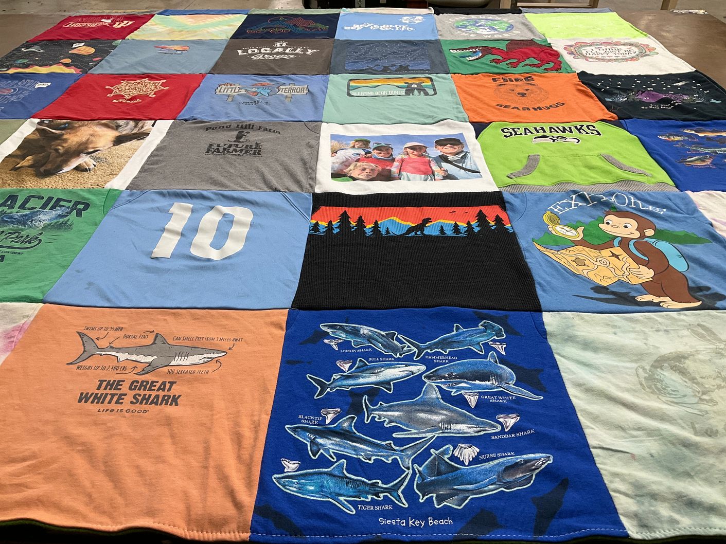 T-shirt quilt featuring seattle seahawks by Mary from WA