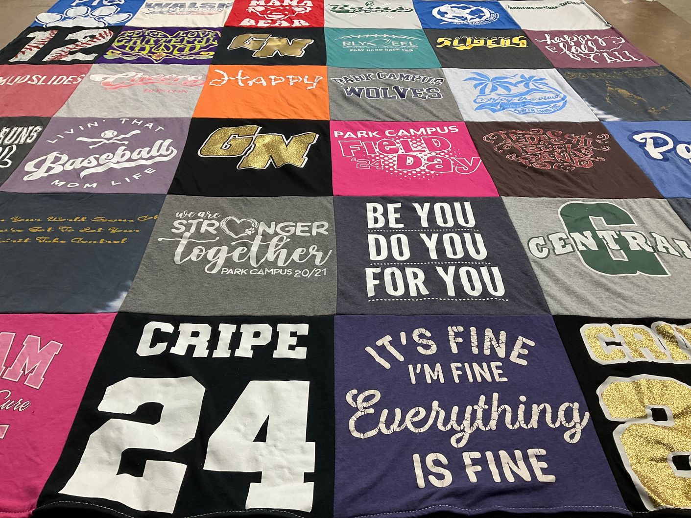 T-shirt quilt from park campus by Meghan from IL