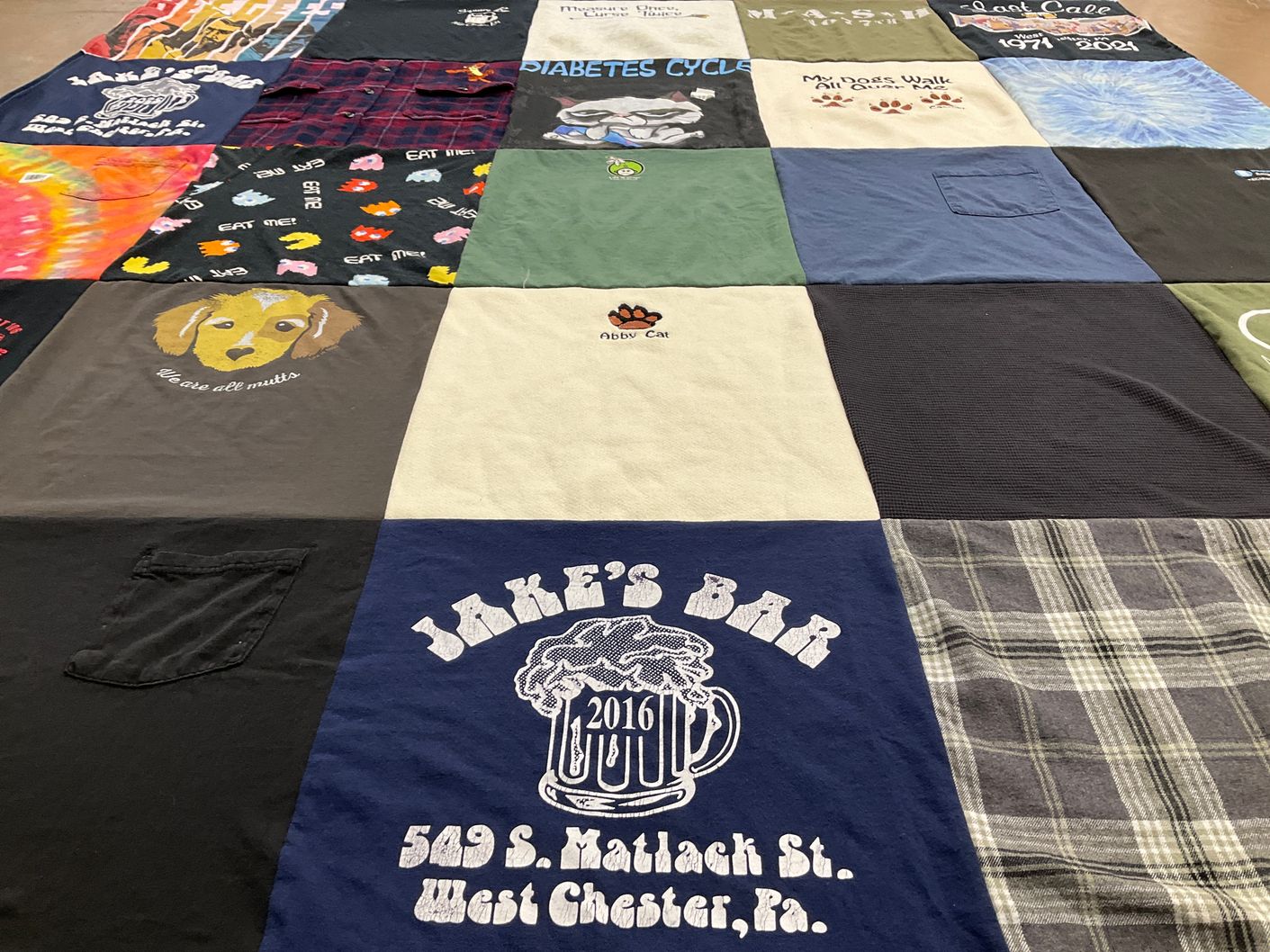 T-shirt quilt with dogs, biking themes by Patricia from PA
