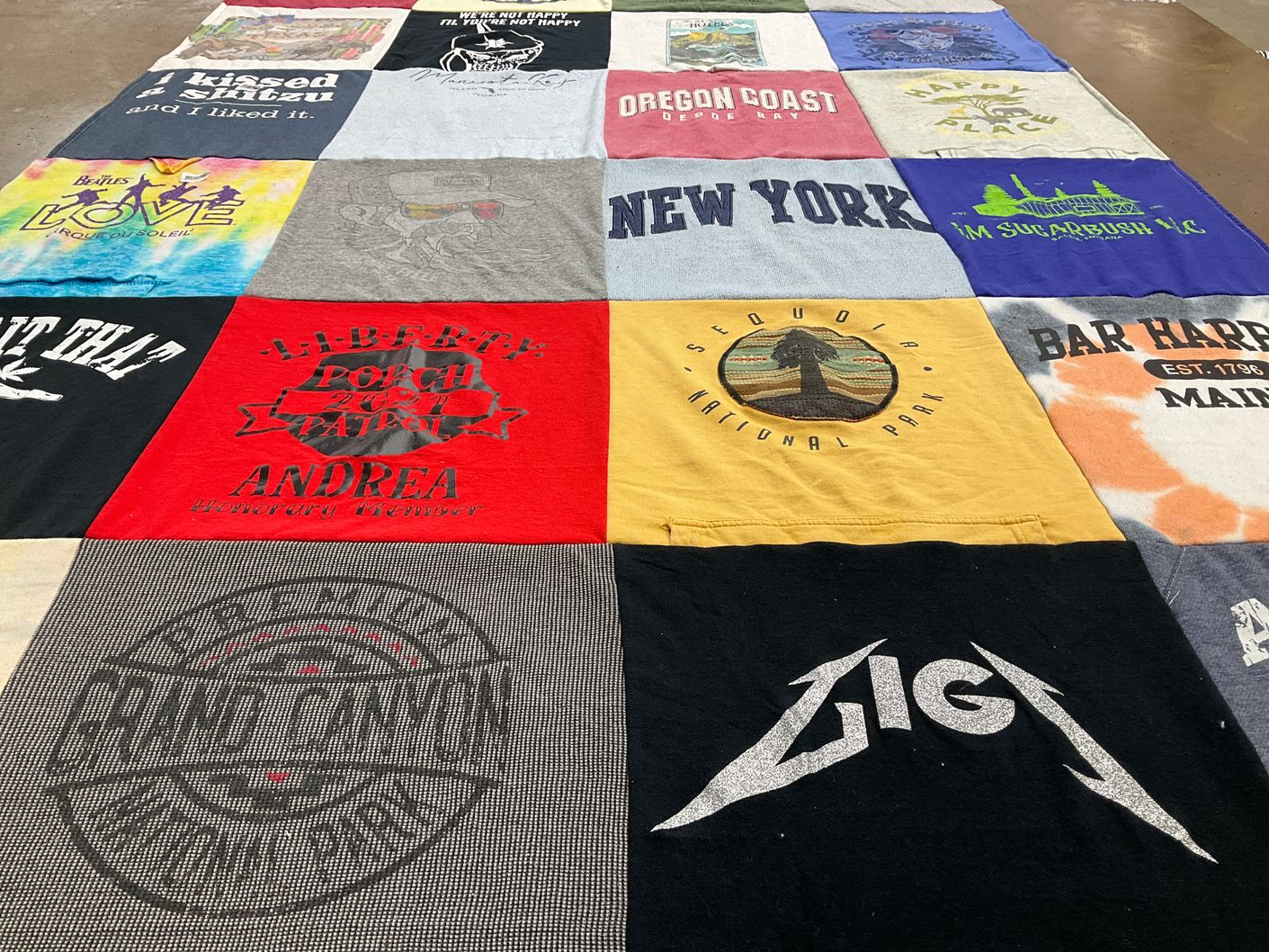 T-shirt quilt with pets, travel themes by Andrea from IN