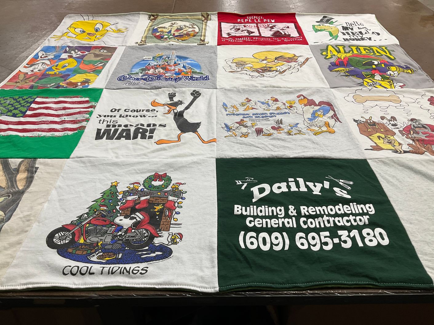T-shirt quilt with cartoons, animation themes by Celeste from NJ