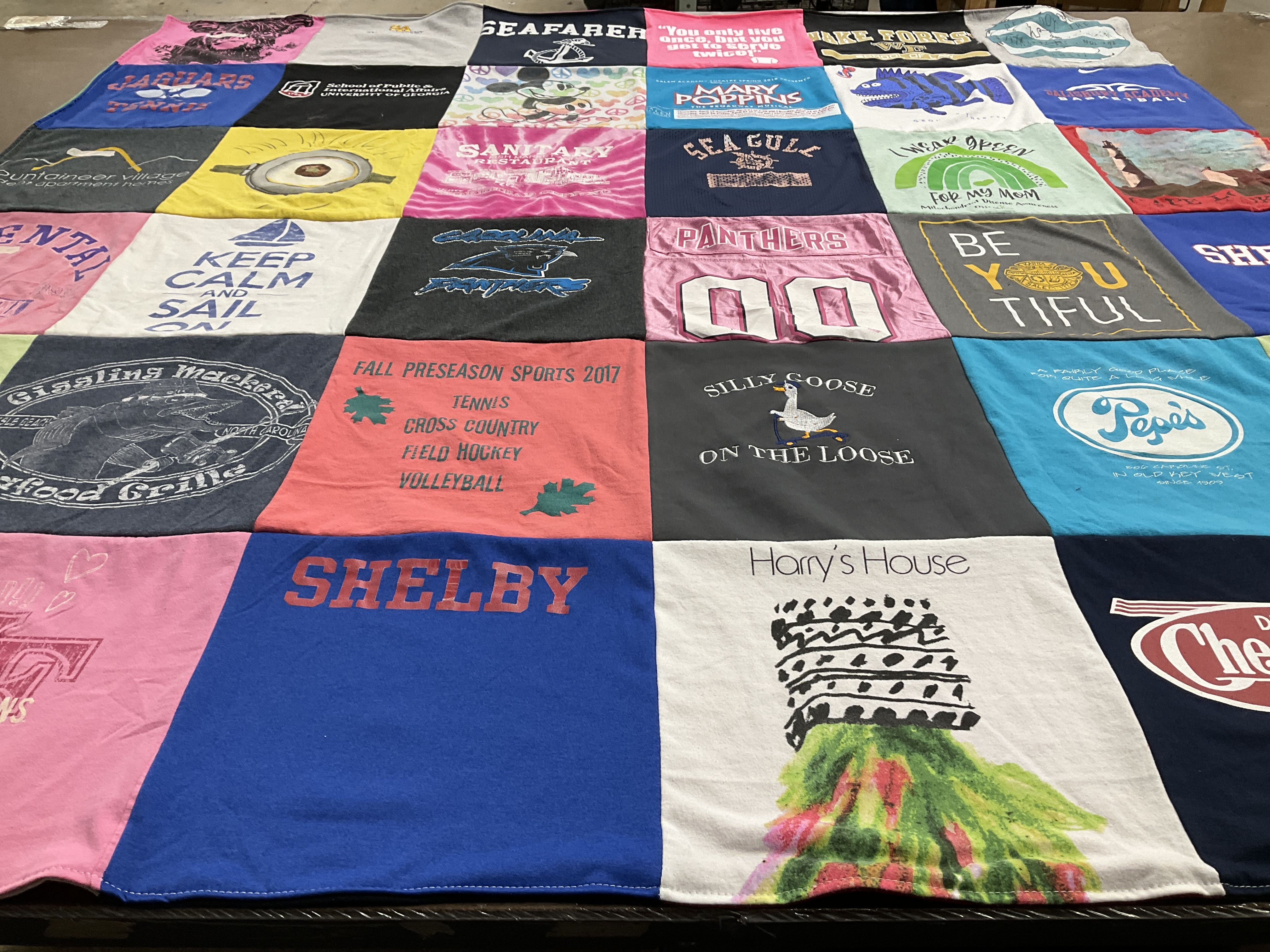 T-shirt quilt featuring panthers, jaguars by Wendy from NC