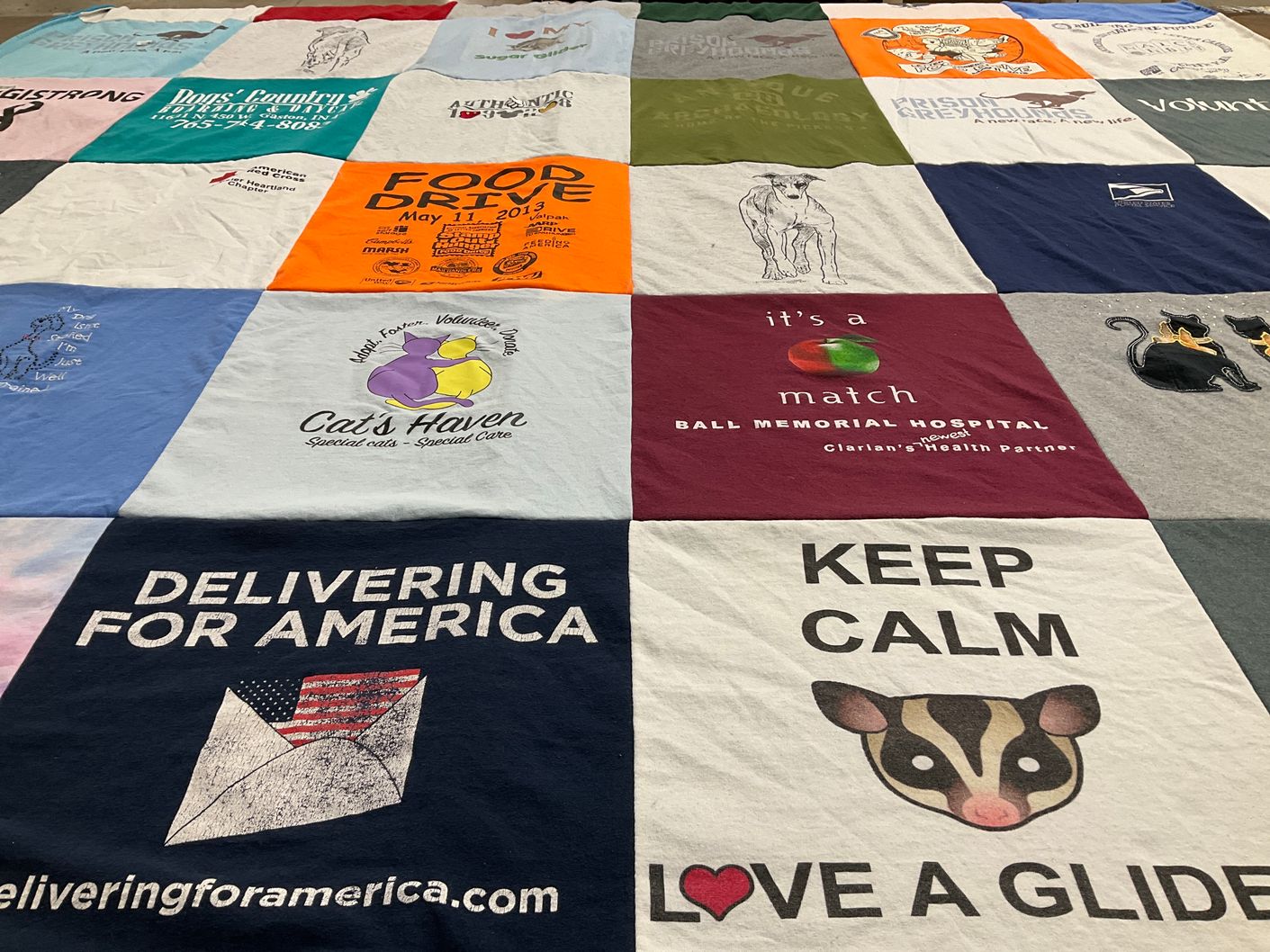 T-shirt quilt with volunteering, animal care themes by Sandra from IN