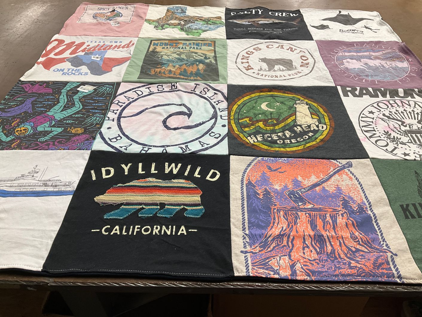 T-shirt quilt with travel, nature themes by Lia from VA