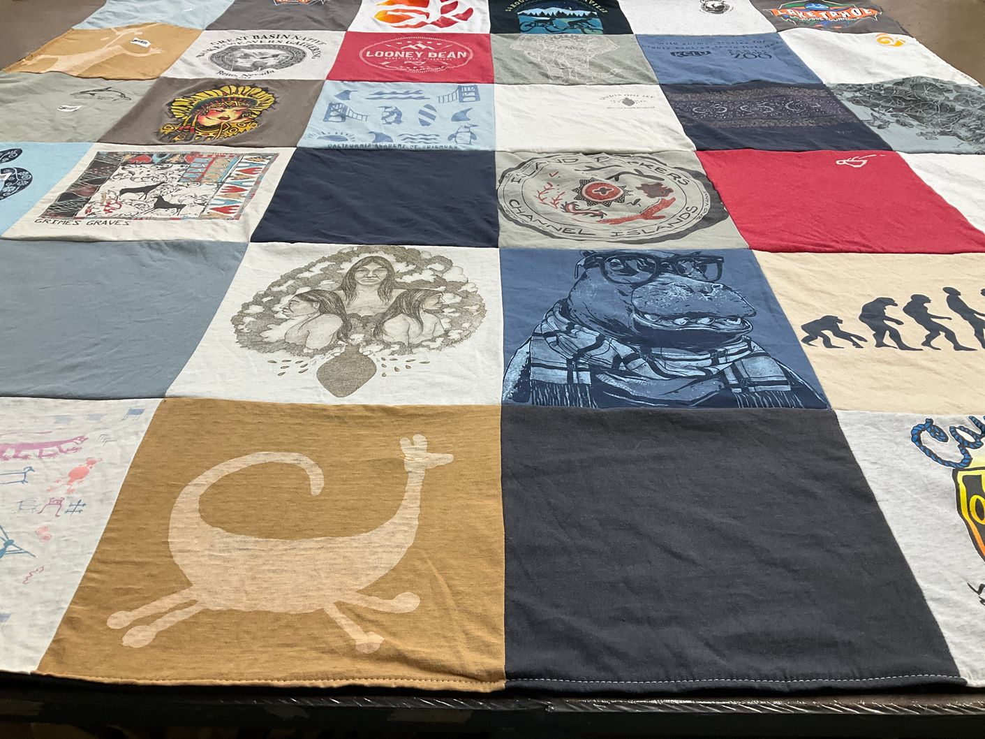 T-shirt quilt with art, illustration themes by Deanna from CA