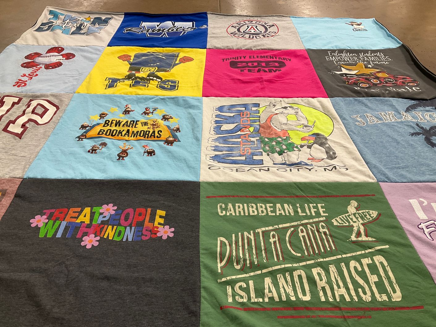 T-shirt quilt with education, community themes by Amy from NC