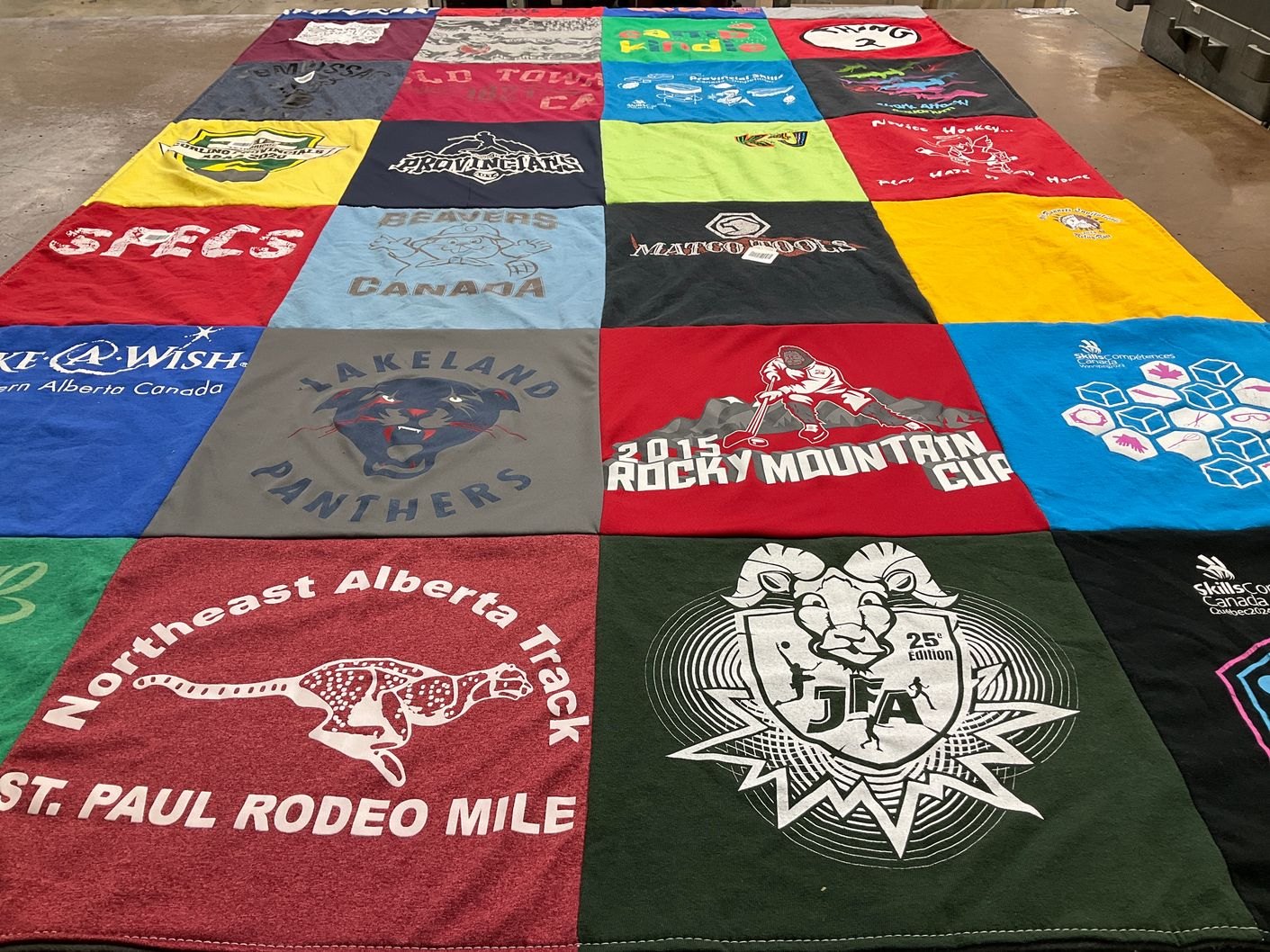 T-shirt quilt featuring lakeland panthers by Terra-Lee from AB