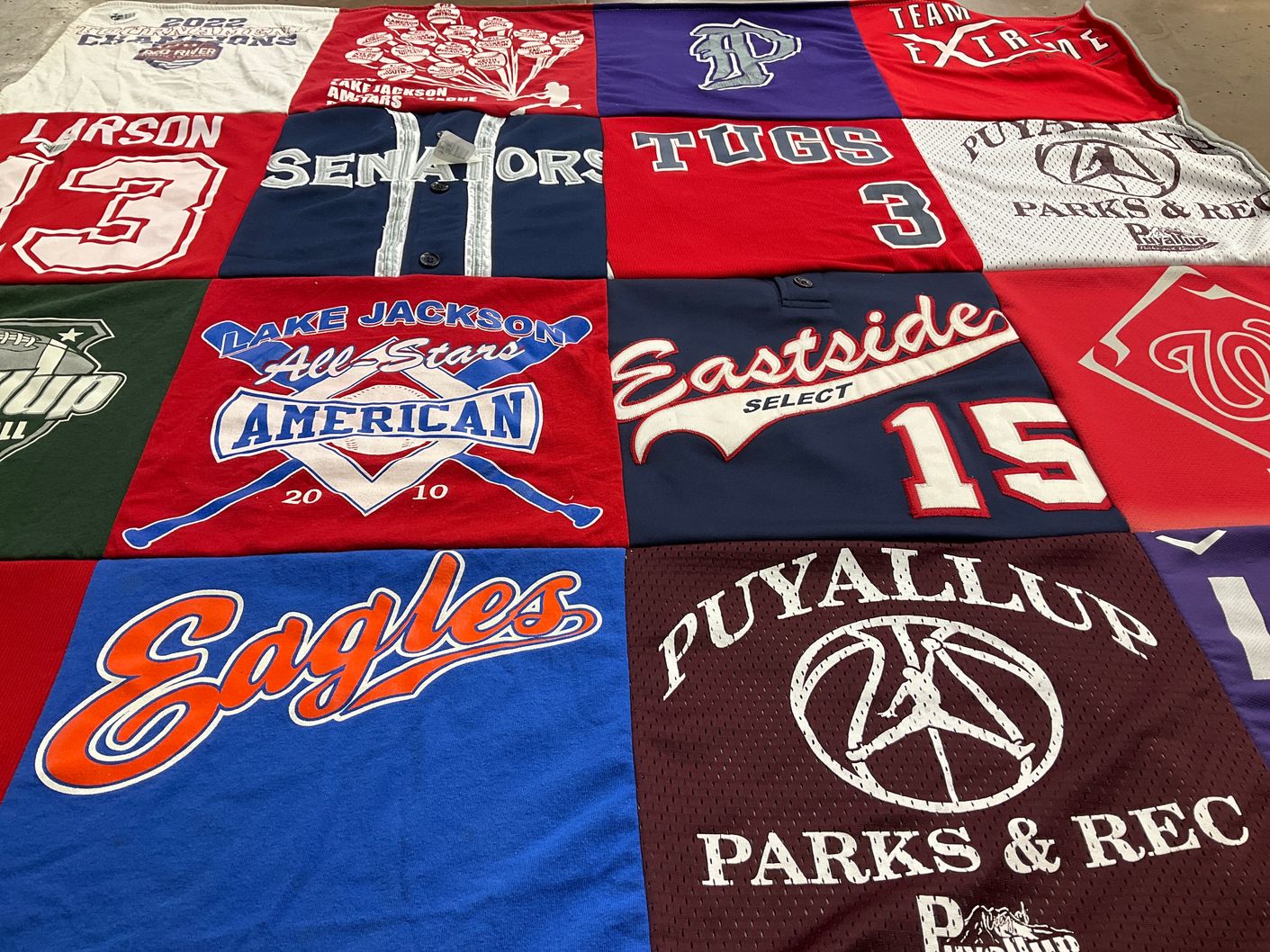T-shirt quilt by Linda from WA