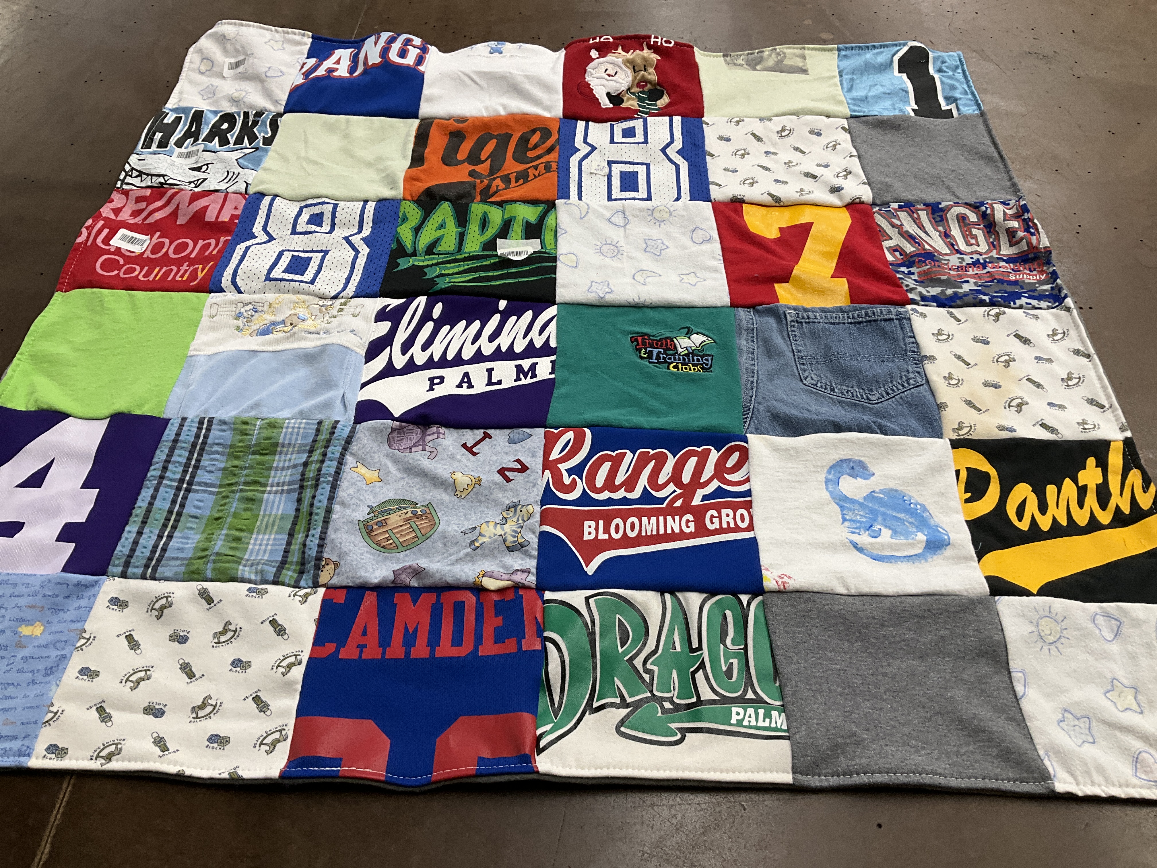 T-shirt quilt featuring raptor, ranger by Meagen from TX