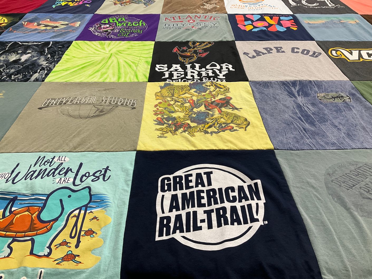 T-shirt quilt with travel, wildlife themes by Tina from DE