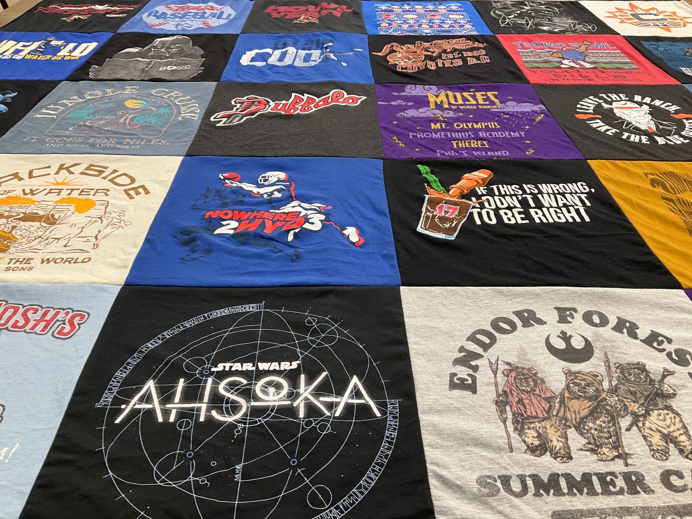 T-shirt quilt from prometheus academy by Michele from AZ