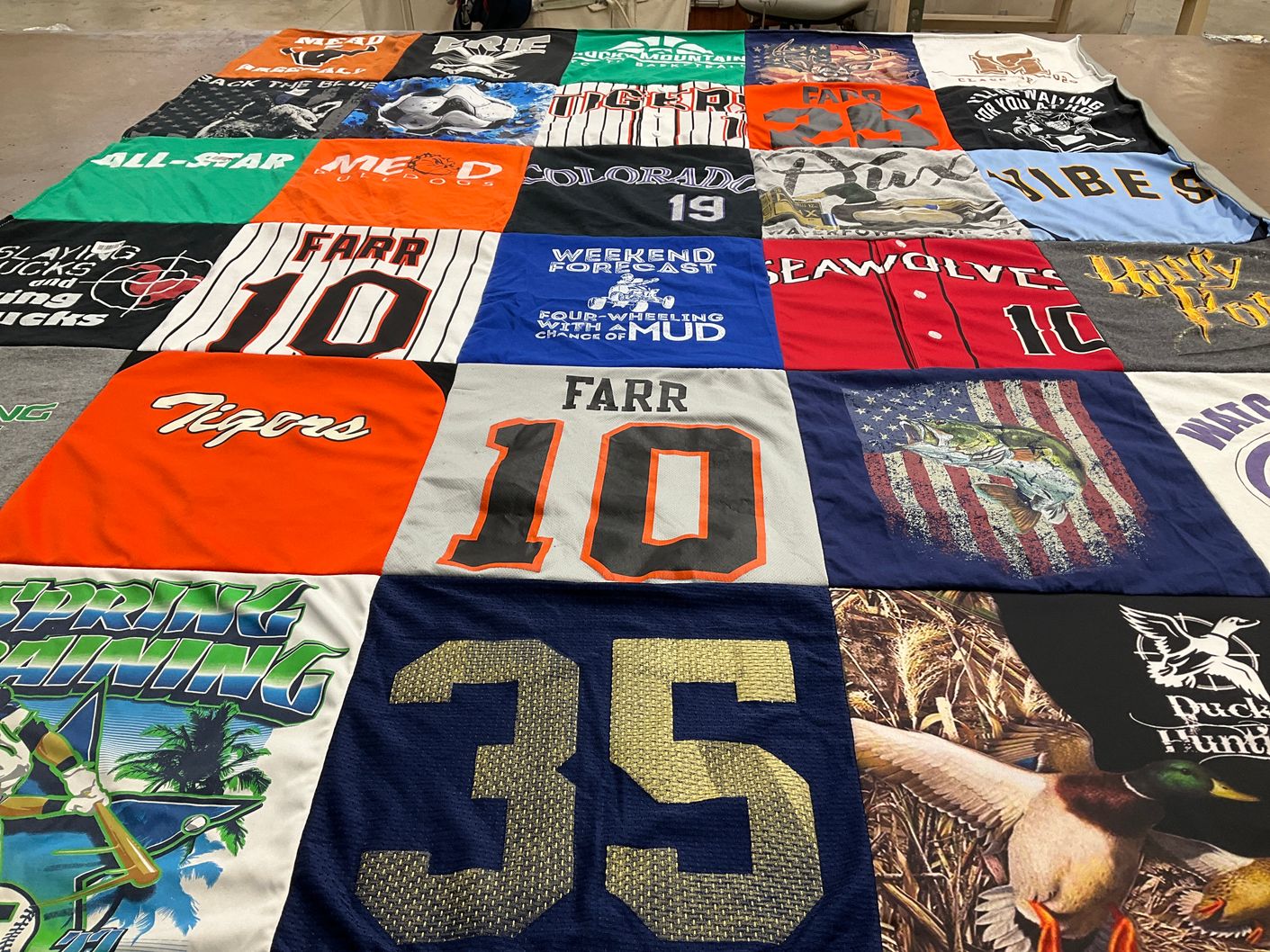 T-shirt quilt featuring seawolves, tigers by Melissa from CO