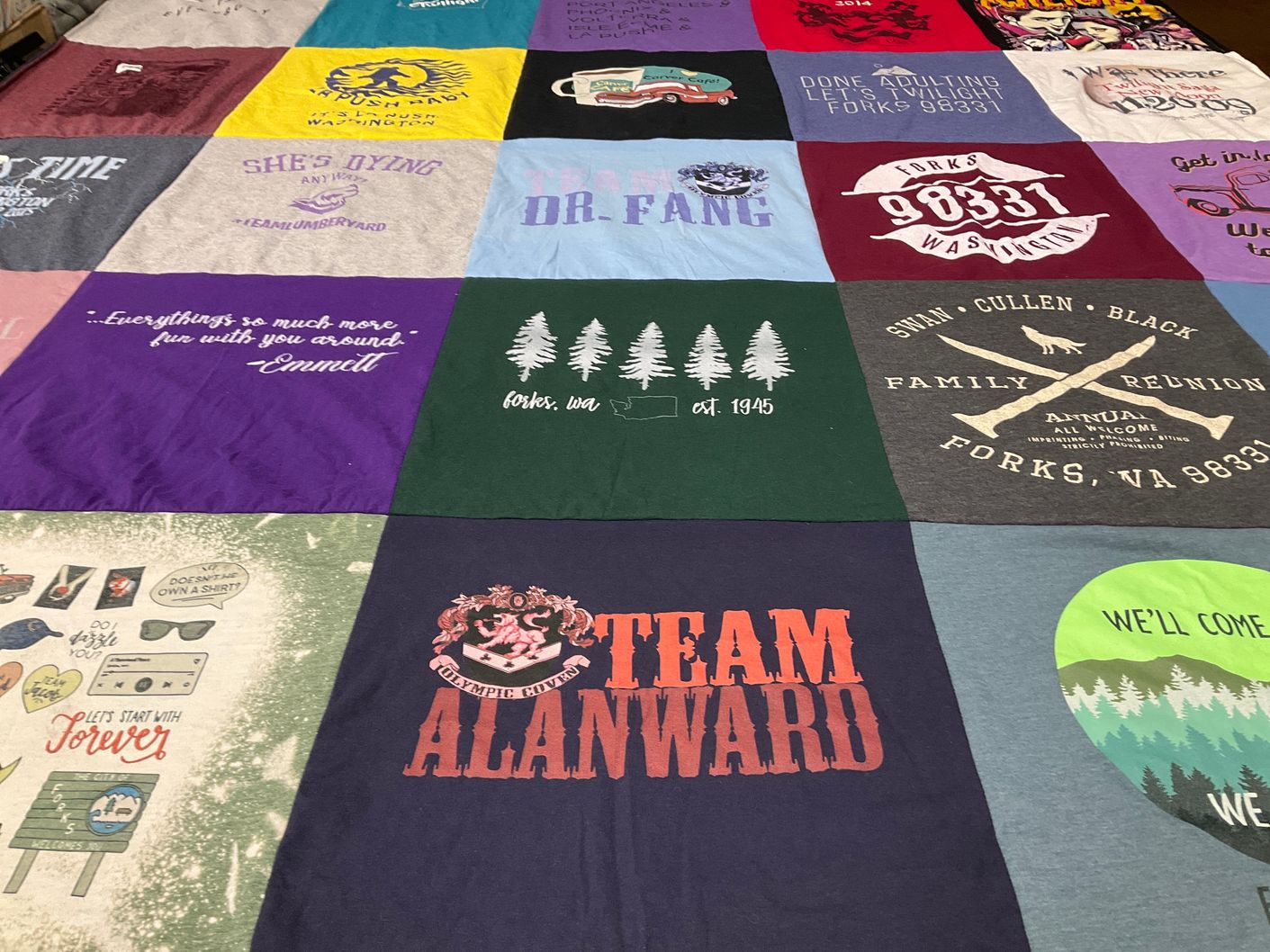T-shirt quilt with twilight saga, family reunions themes by Amanda from CO