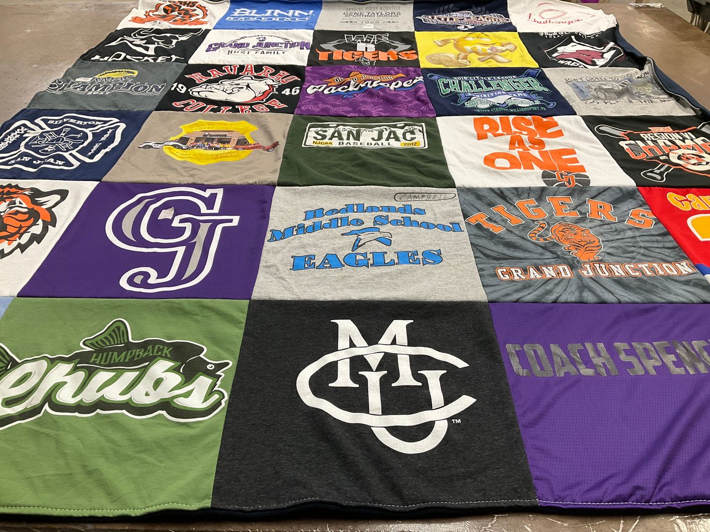 T-shirt quilt featuring tigers, eagles by Beverly from CO