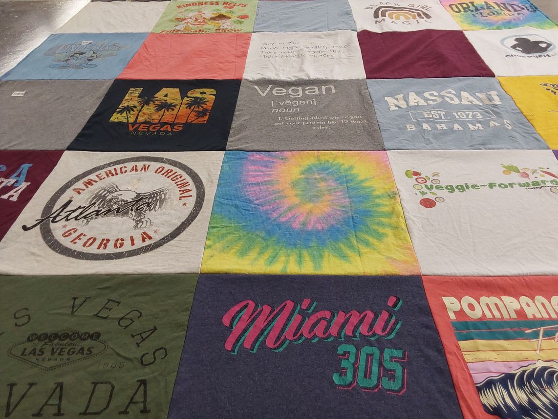 T-shirt quilt with travel, veganism themes by Shawnta from OH