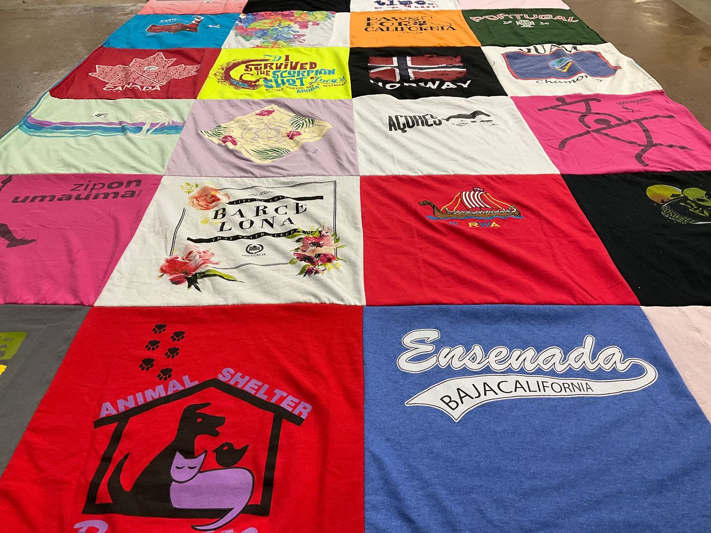 T-shirt quilt with travel, animals themes by Debora from CA
