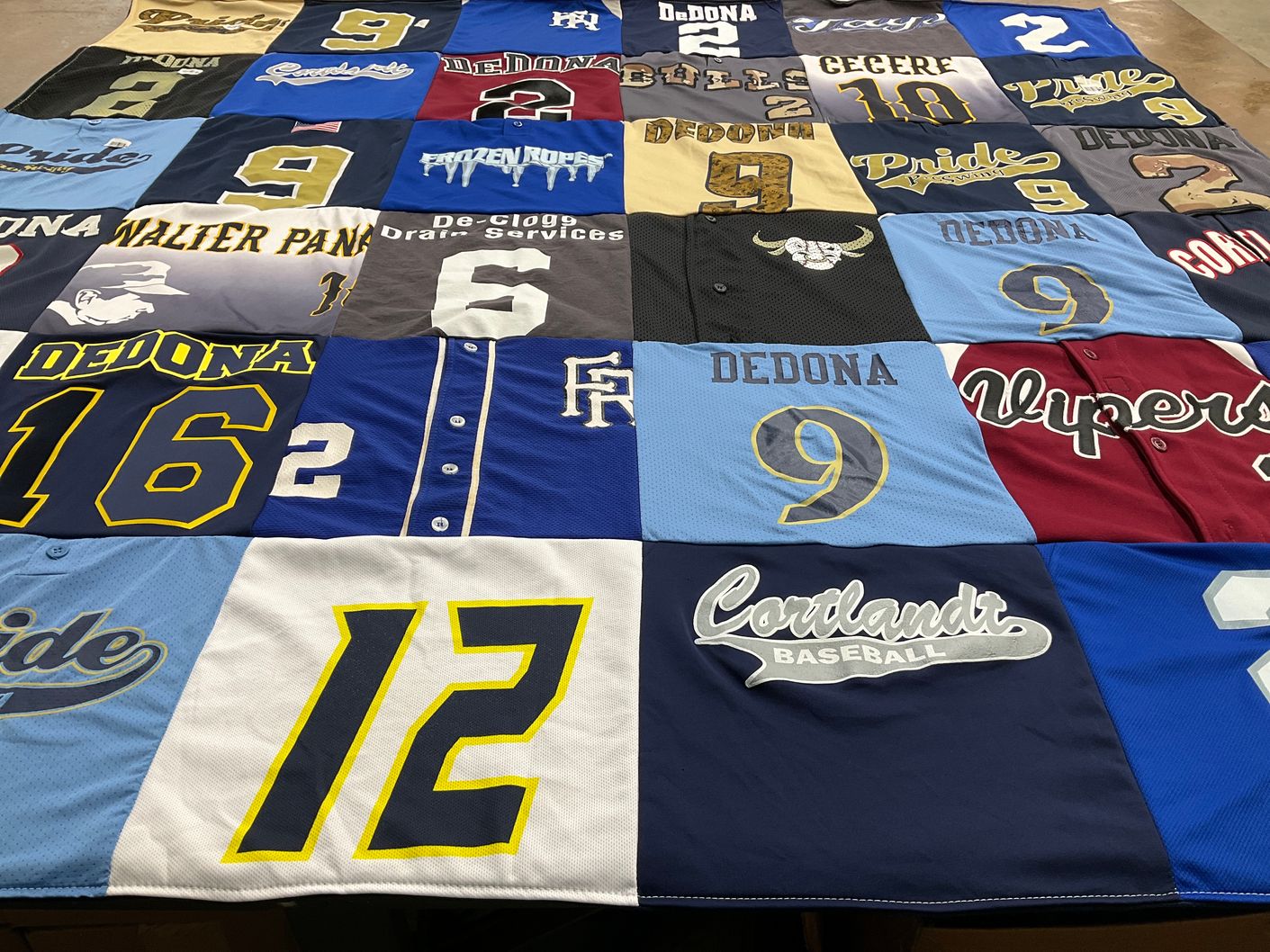 T-shirt quilt featuring dedona, walter pans by Donna from NY