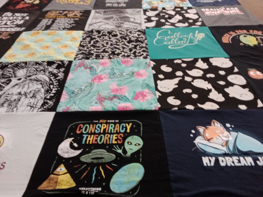 T-shirt quilt with cats, aliens themes by Cassie from CA