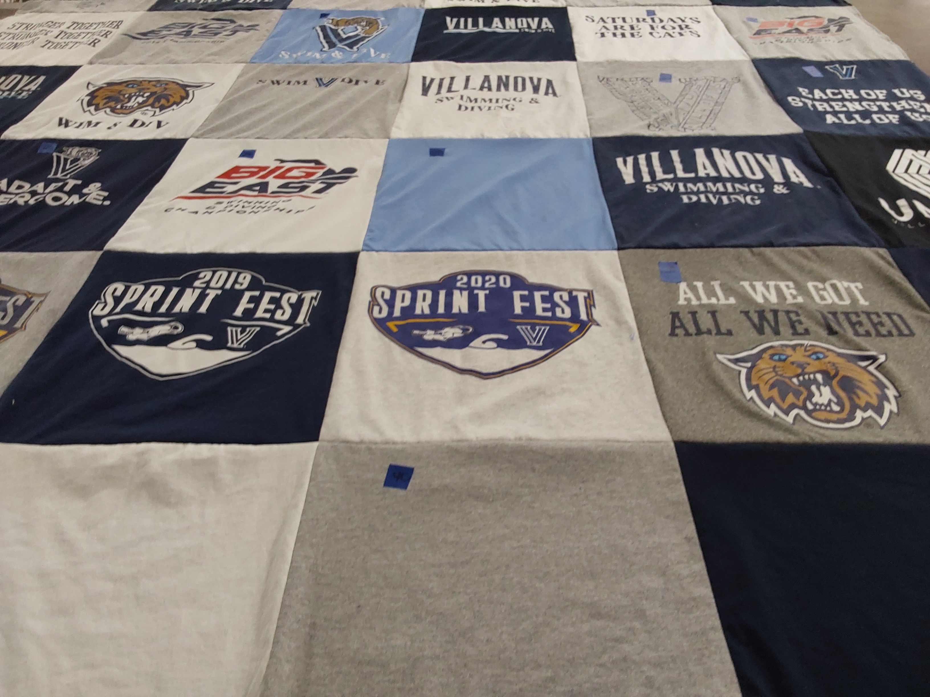 T-shirt quilt featuring pacific coast swimming by Diana from CA