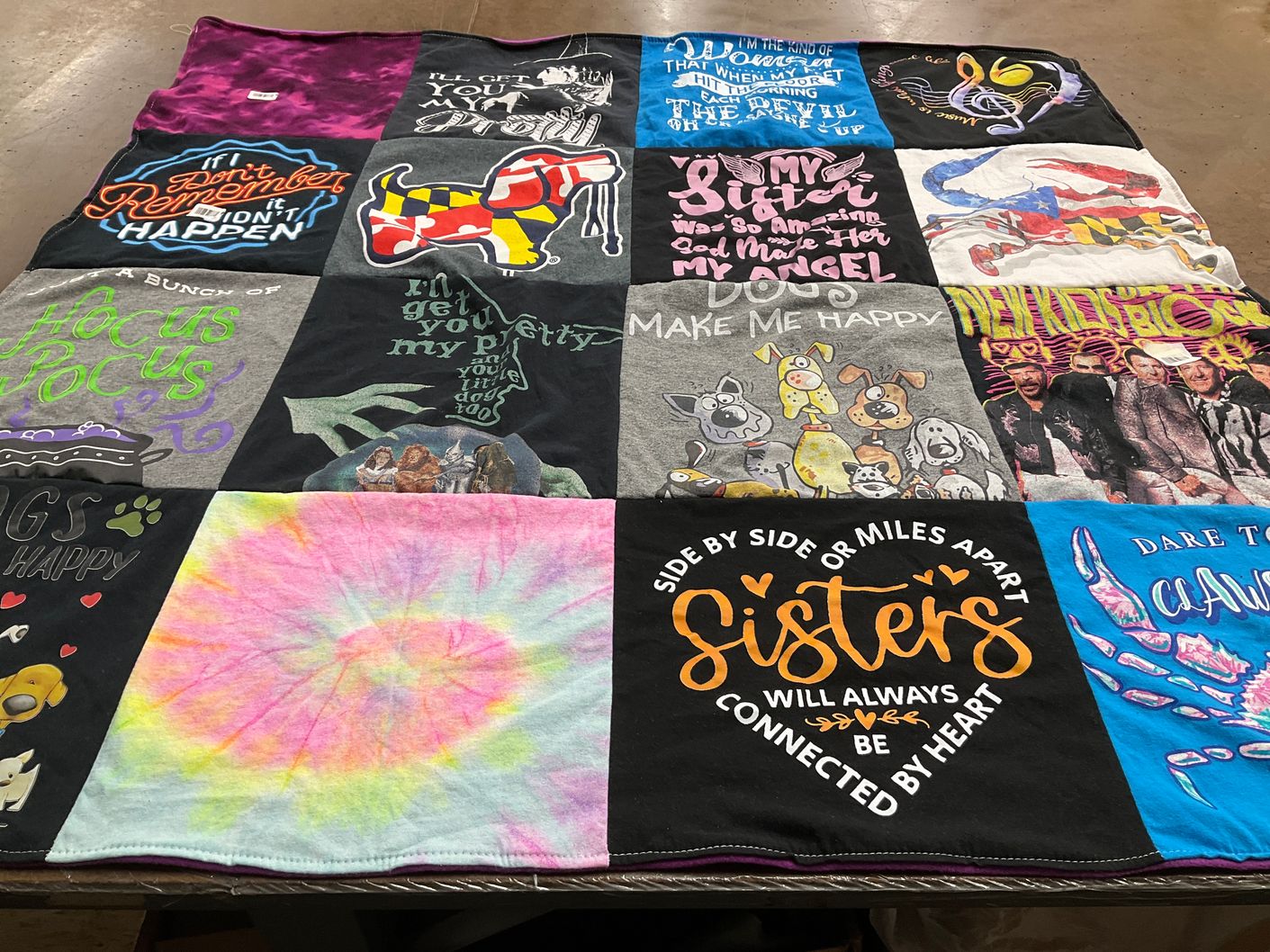 T-shirt quilt with pets, sisterhood themes by Tina from MD