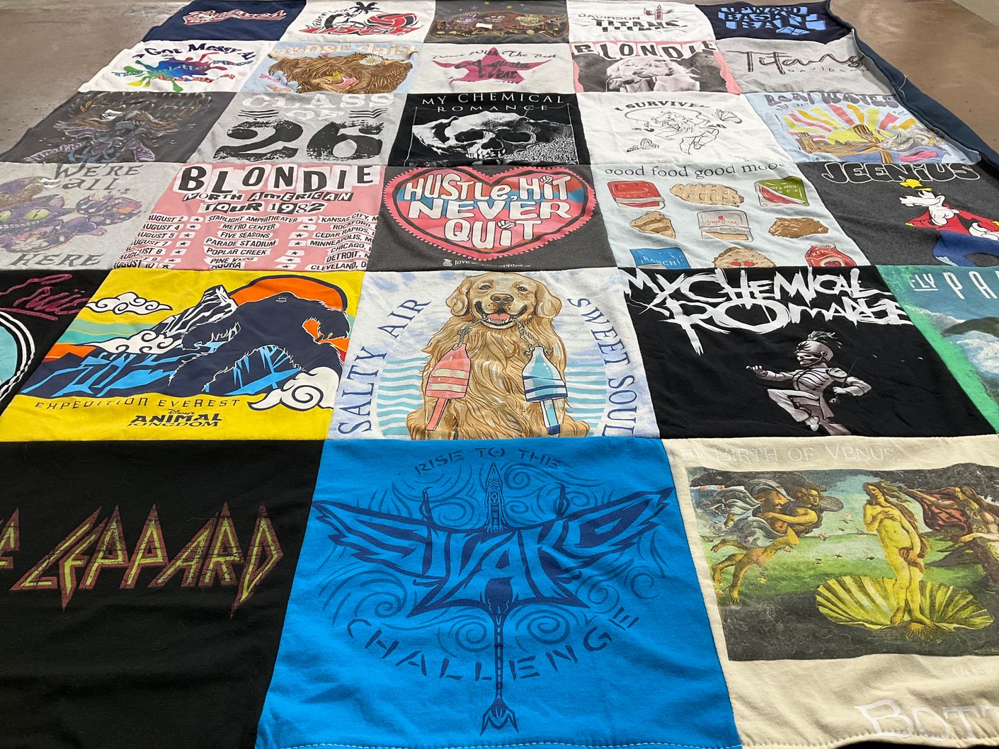 T-shirt quilt with music, animals themes by Valerie from GA