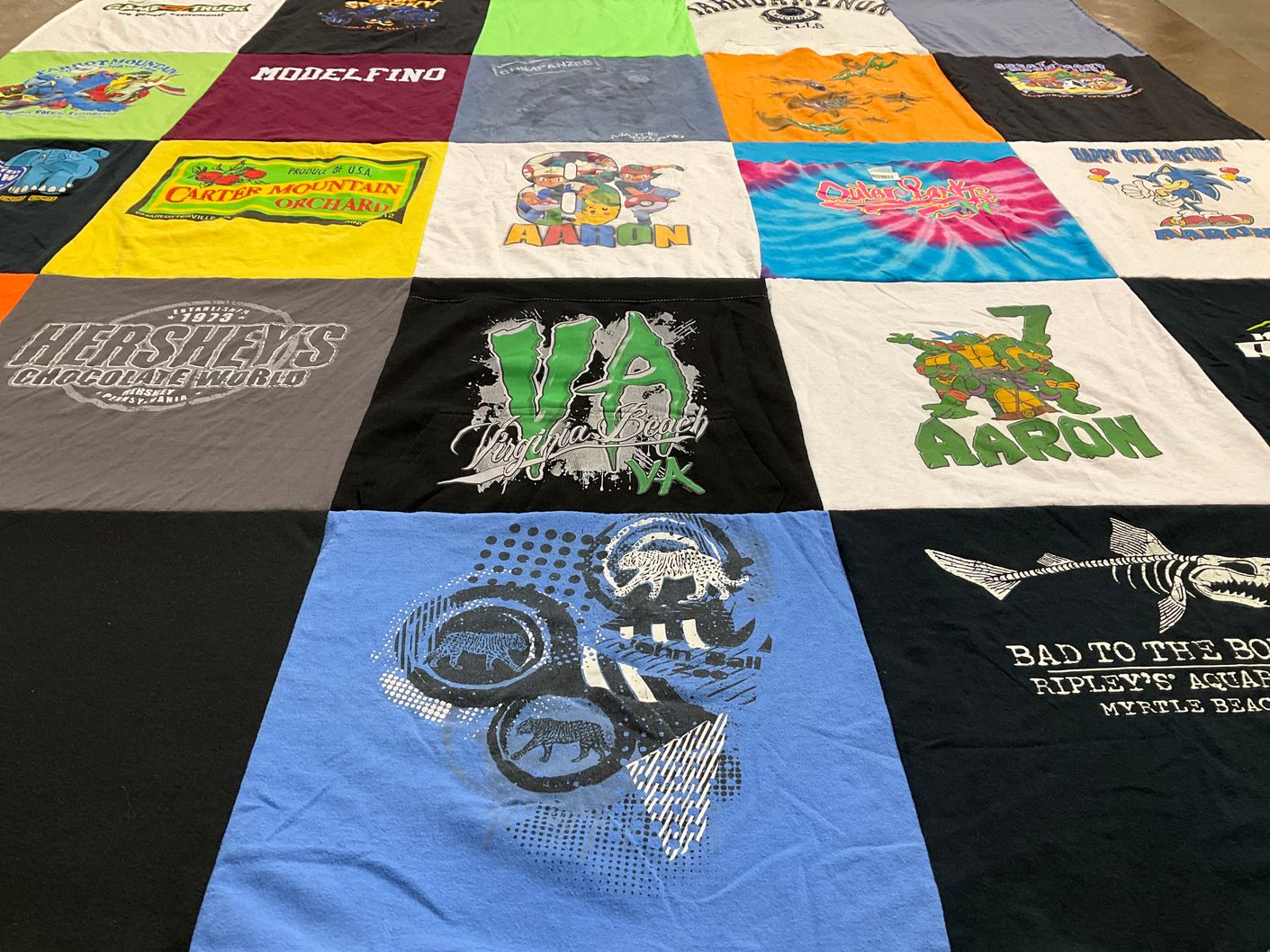 T-shirt quilt with amusement parks, beaches themes by Linda from VA