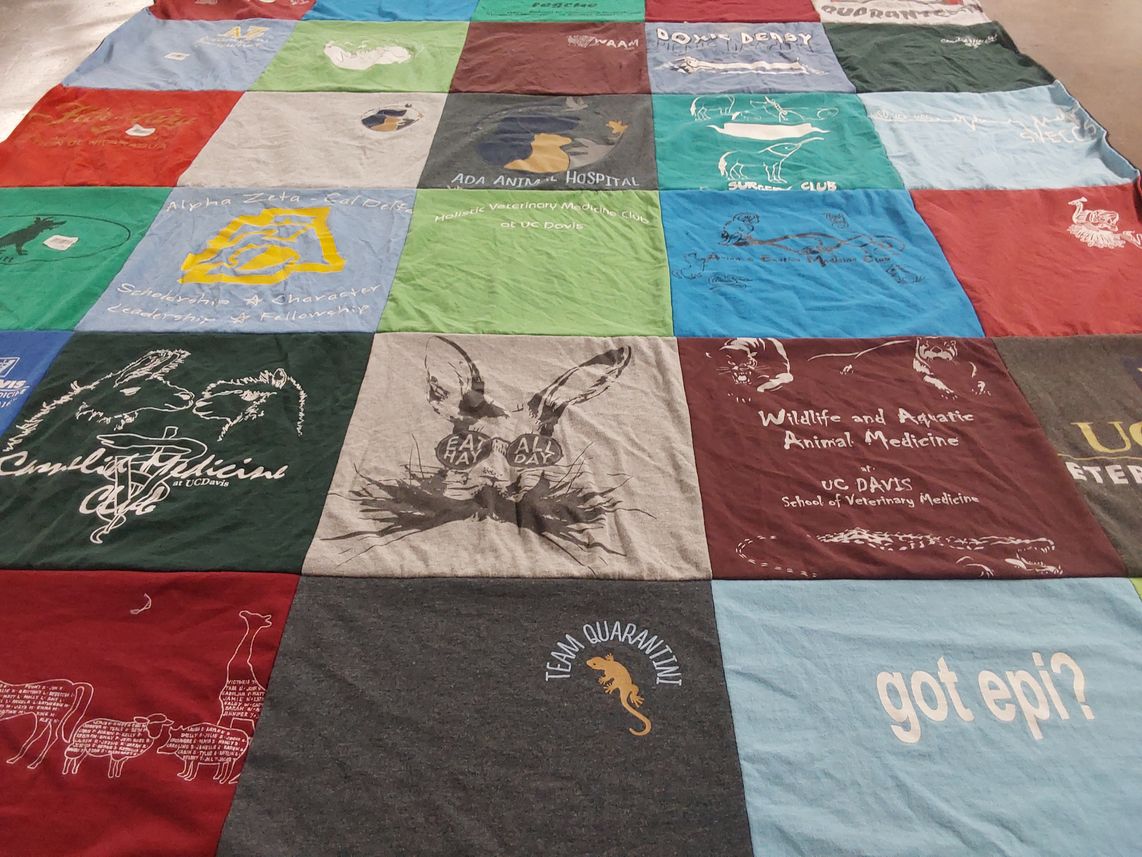 T-shirt quilt from university of california, davis by Jennifer from ID