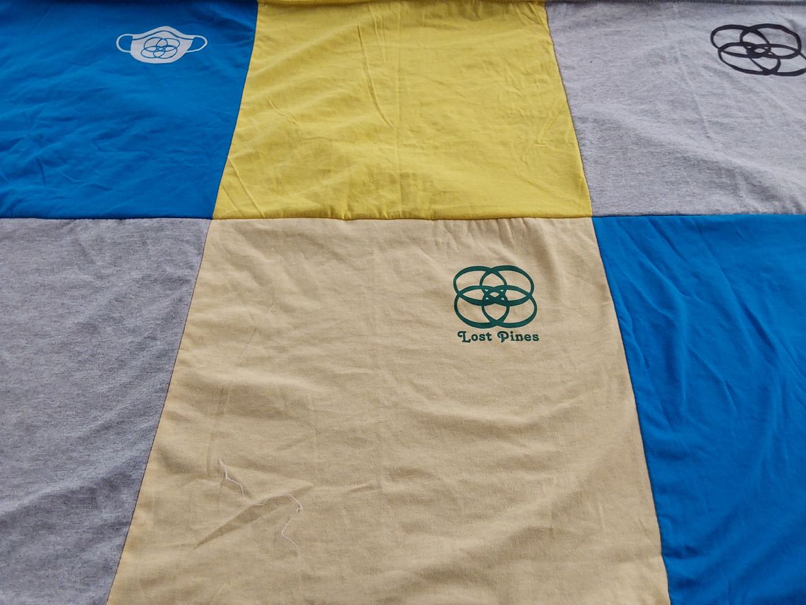 T-shirt quilt by Briar Hall from IL