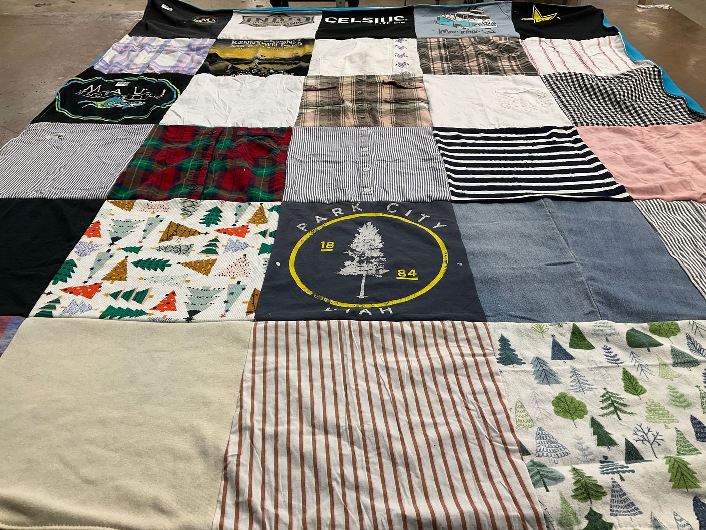 T-shirt quilt with travel, nature themes by Diane from CA